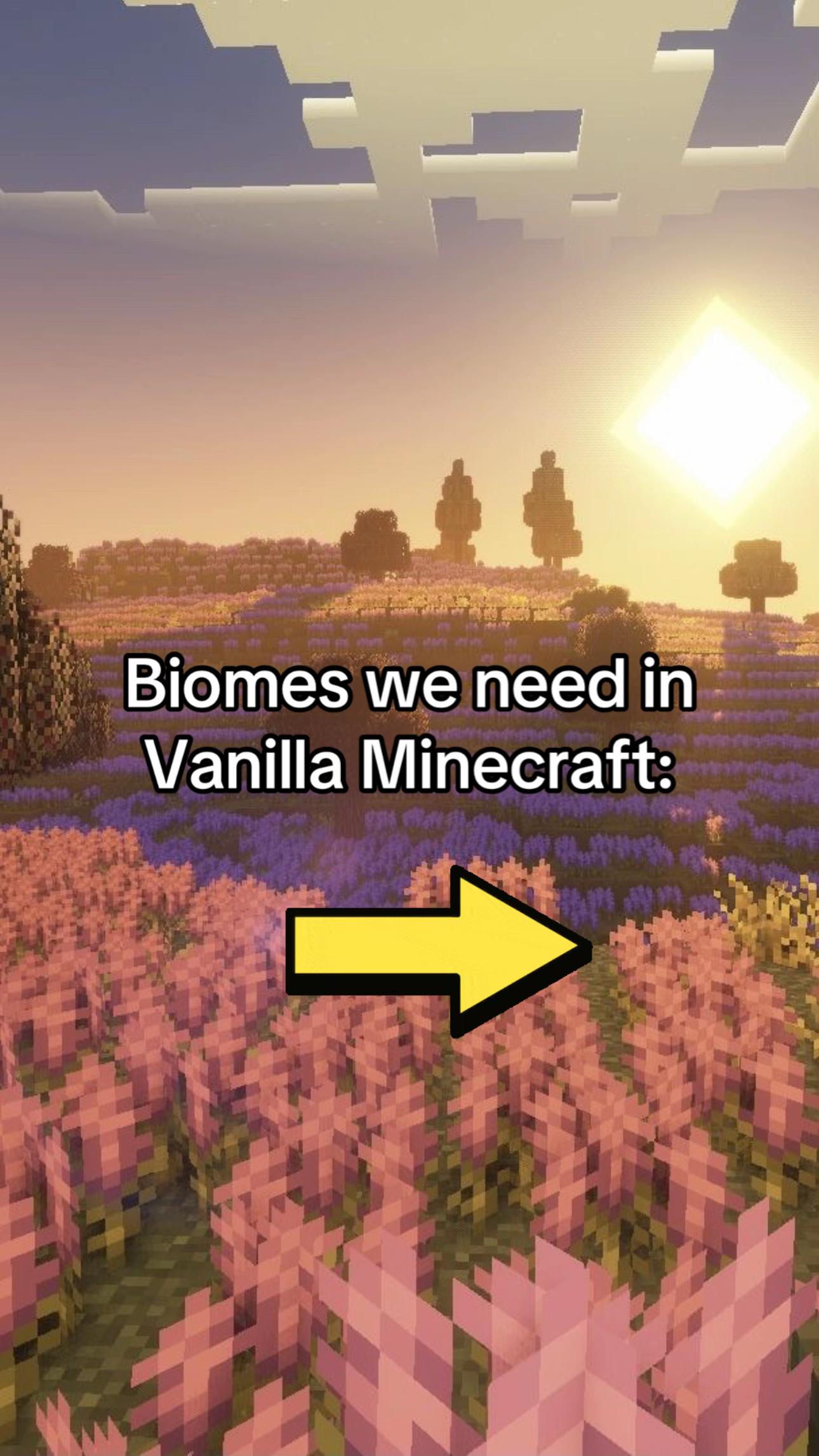 @Minecraftdailyy