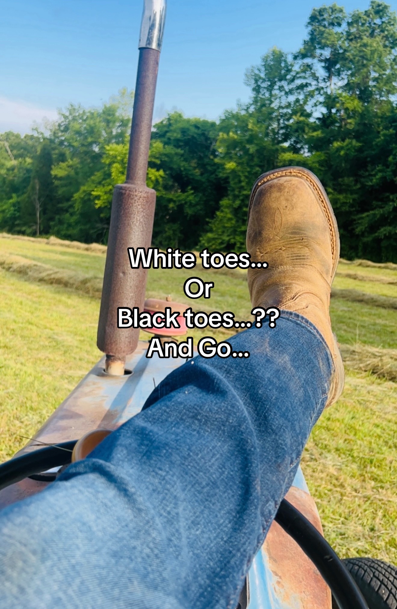@Trent 🦌