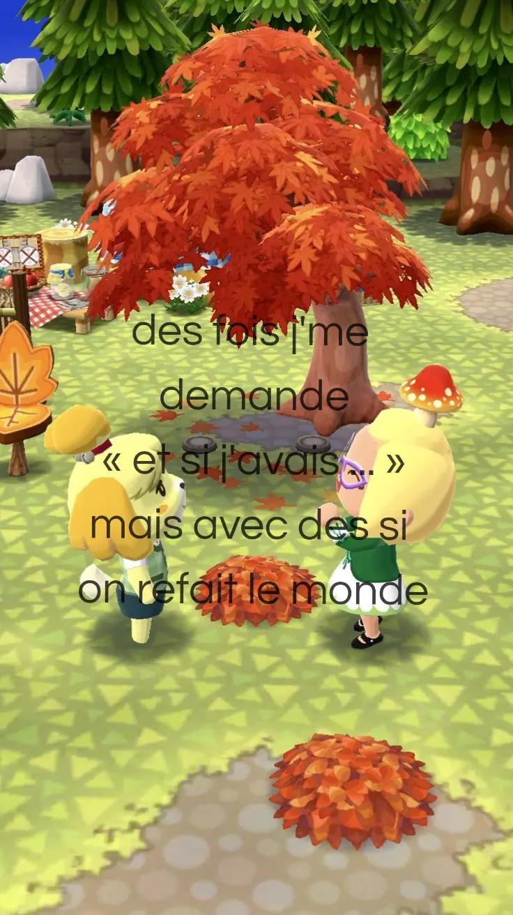 @🐥