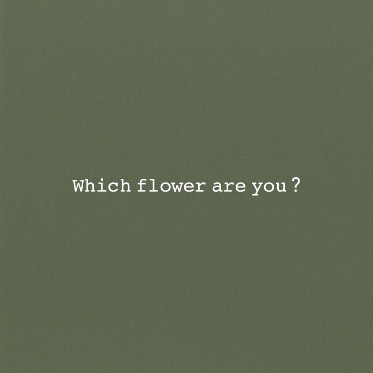 @꧁✰ ✰꧂