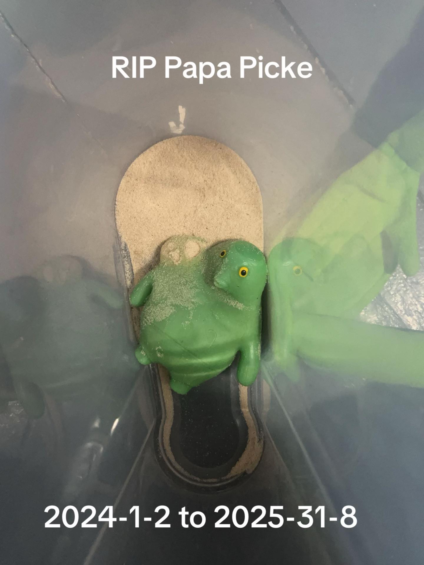 @Pappa_Pickle