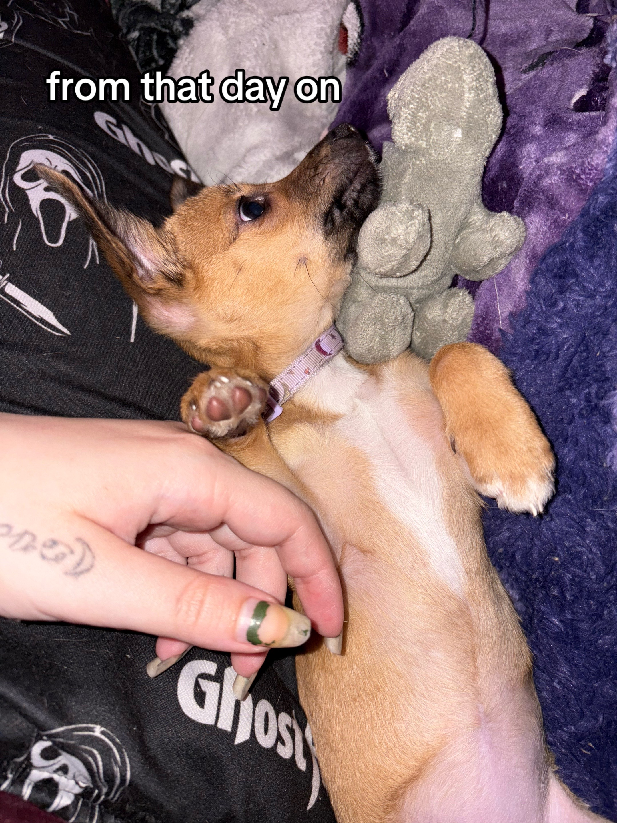 @Spooki <3