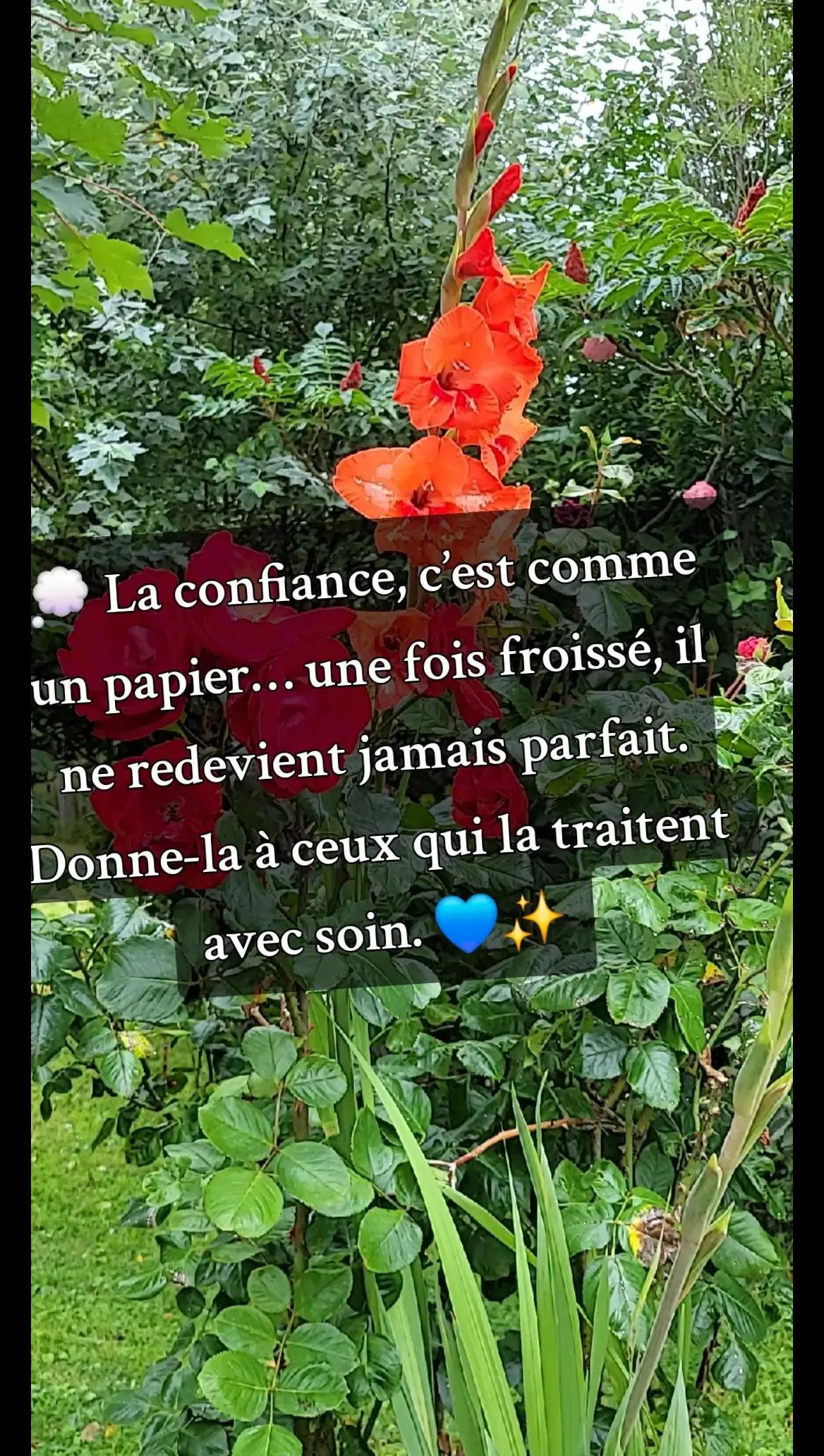 @🐬💚 𝓢𝓪𝓫𝔂 𝓝𝓸𝓾𝓻𝓻𝔂 ✨🌺