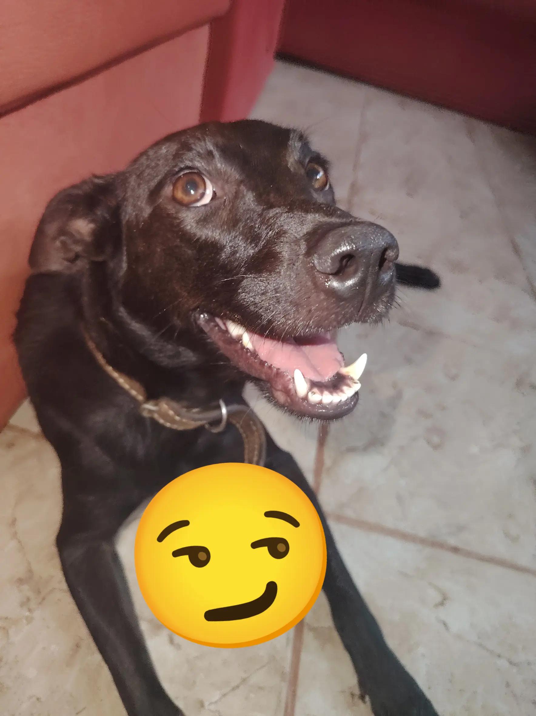 @M Diaz Mejia