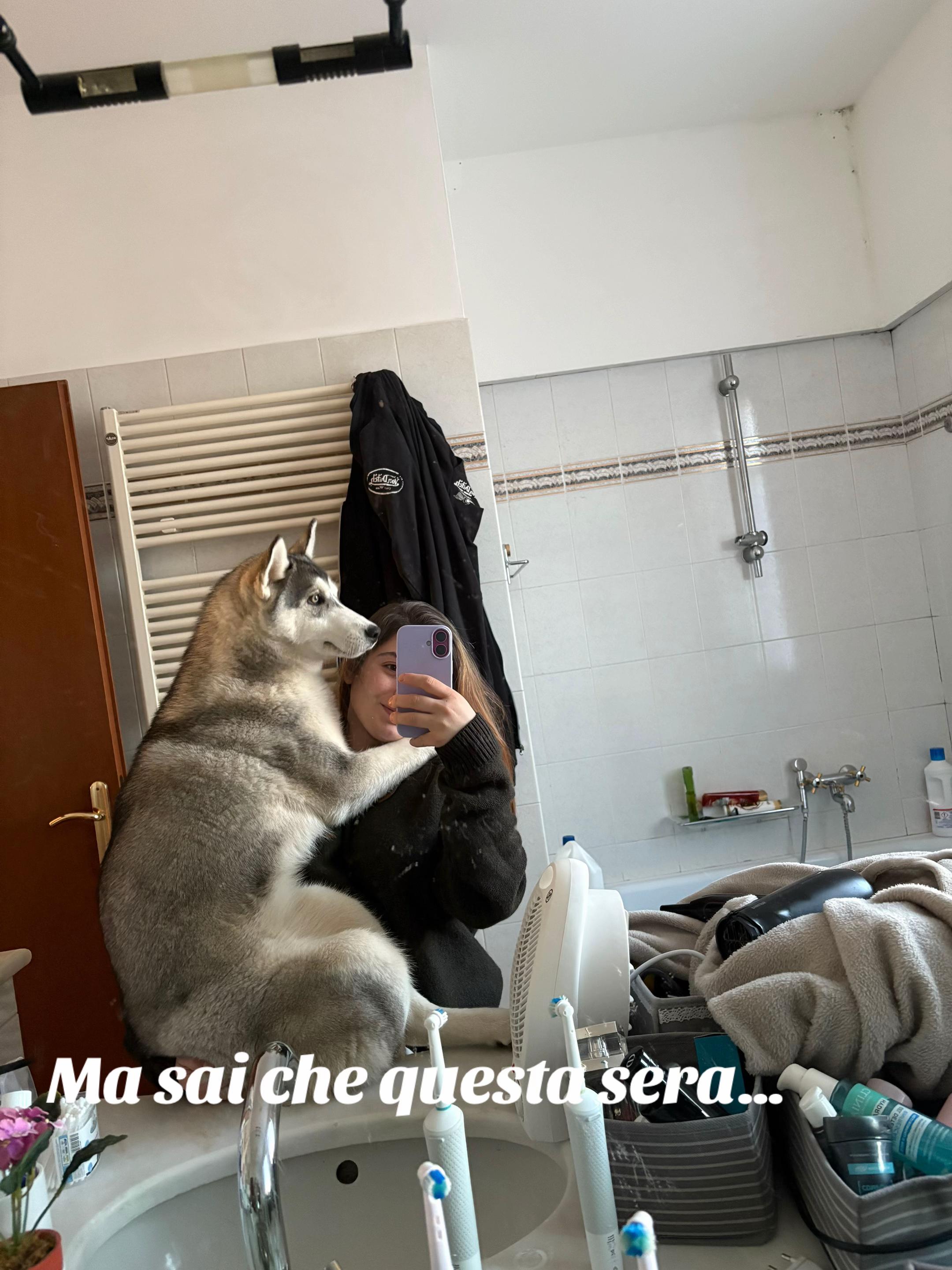 @aliivetri