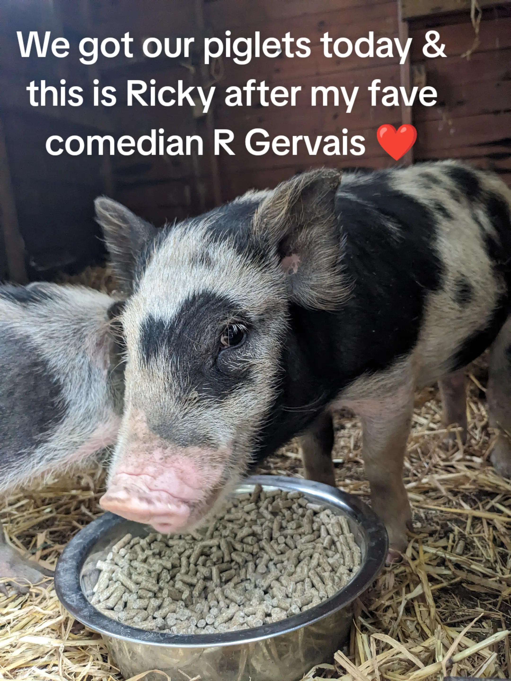 @farmgirl