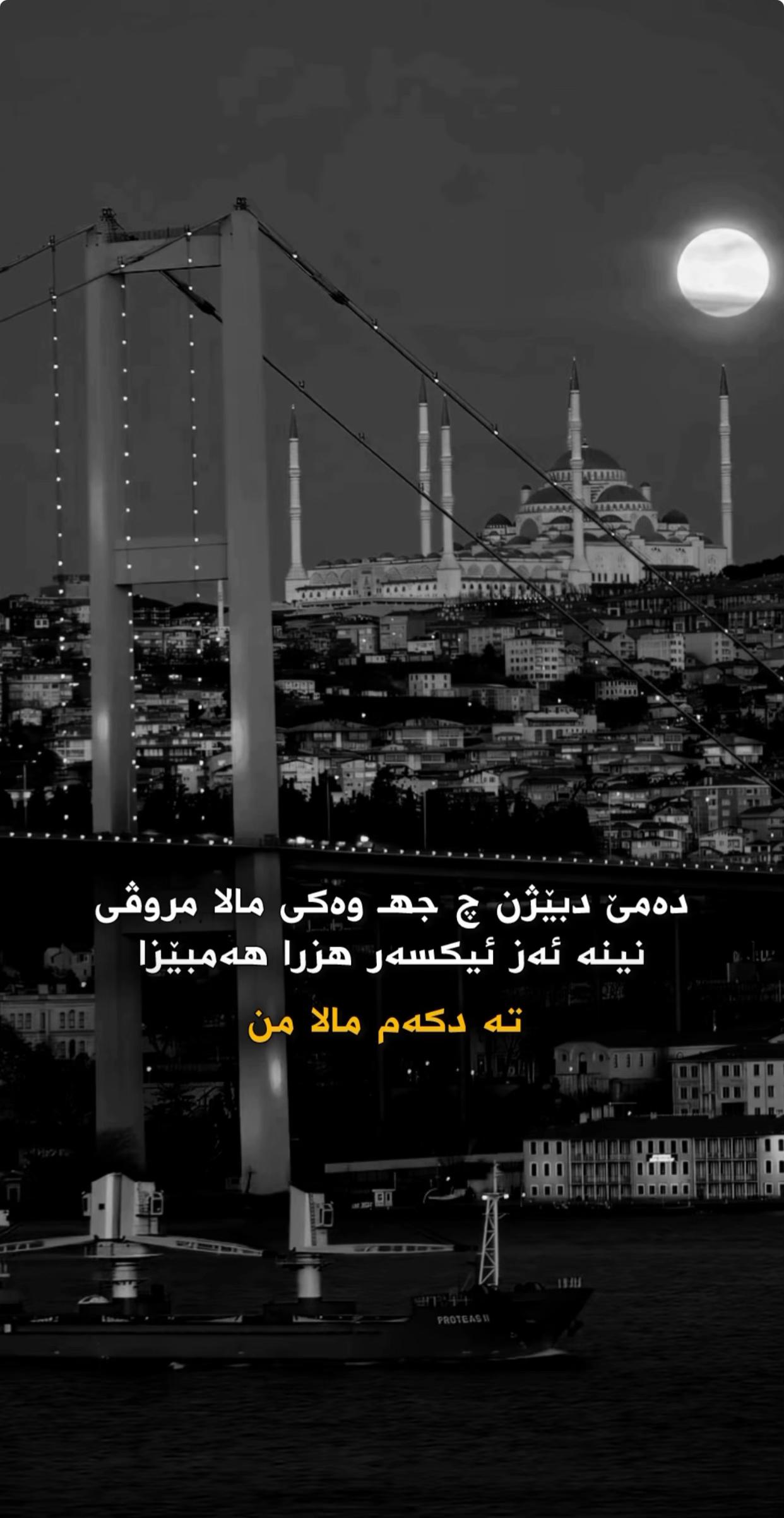 @الحمدلله علي كل حال 🫀♾️😍