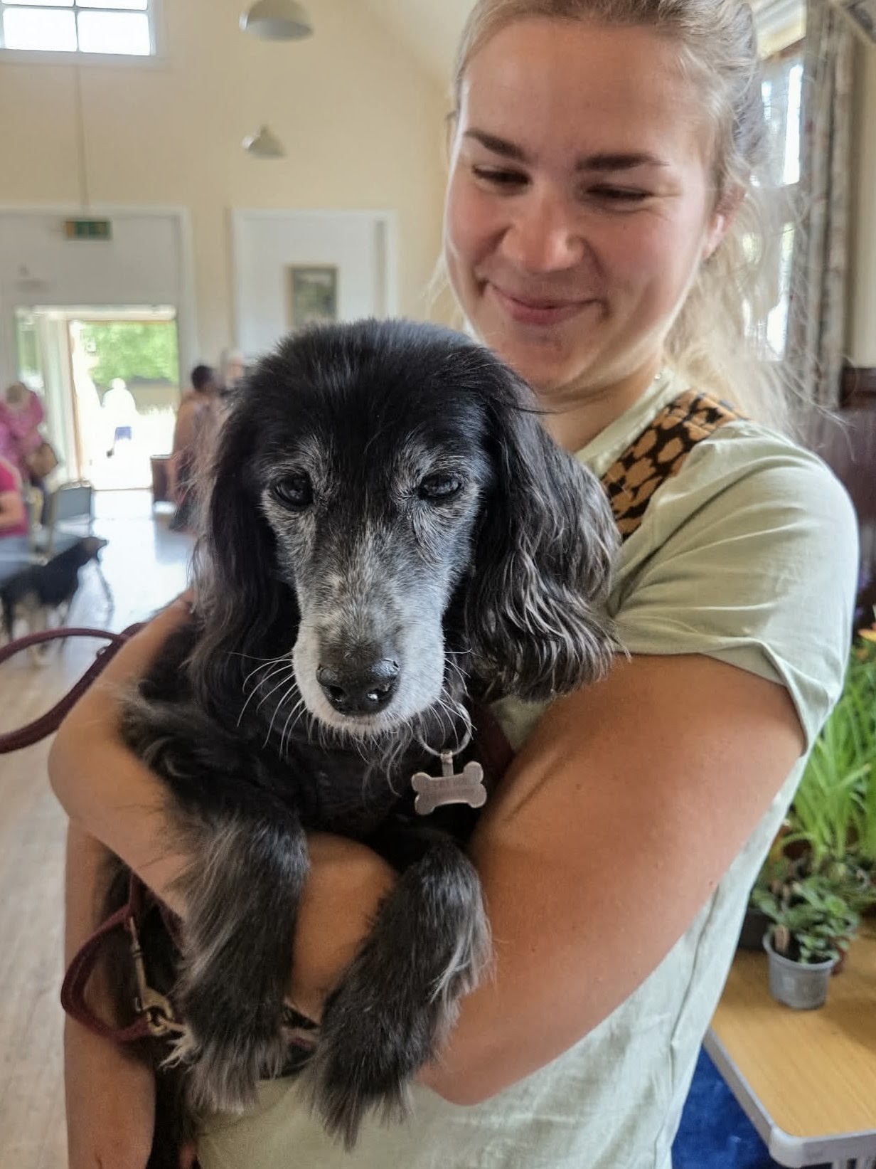 @Greek Animal Rescue