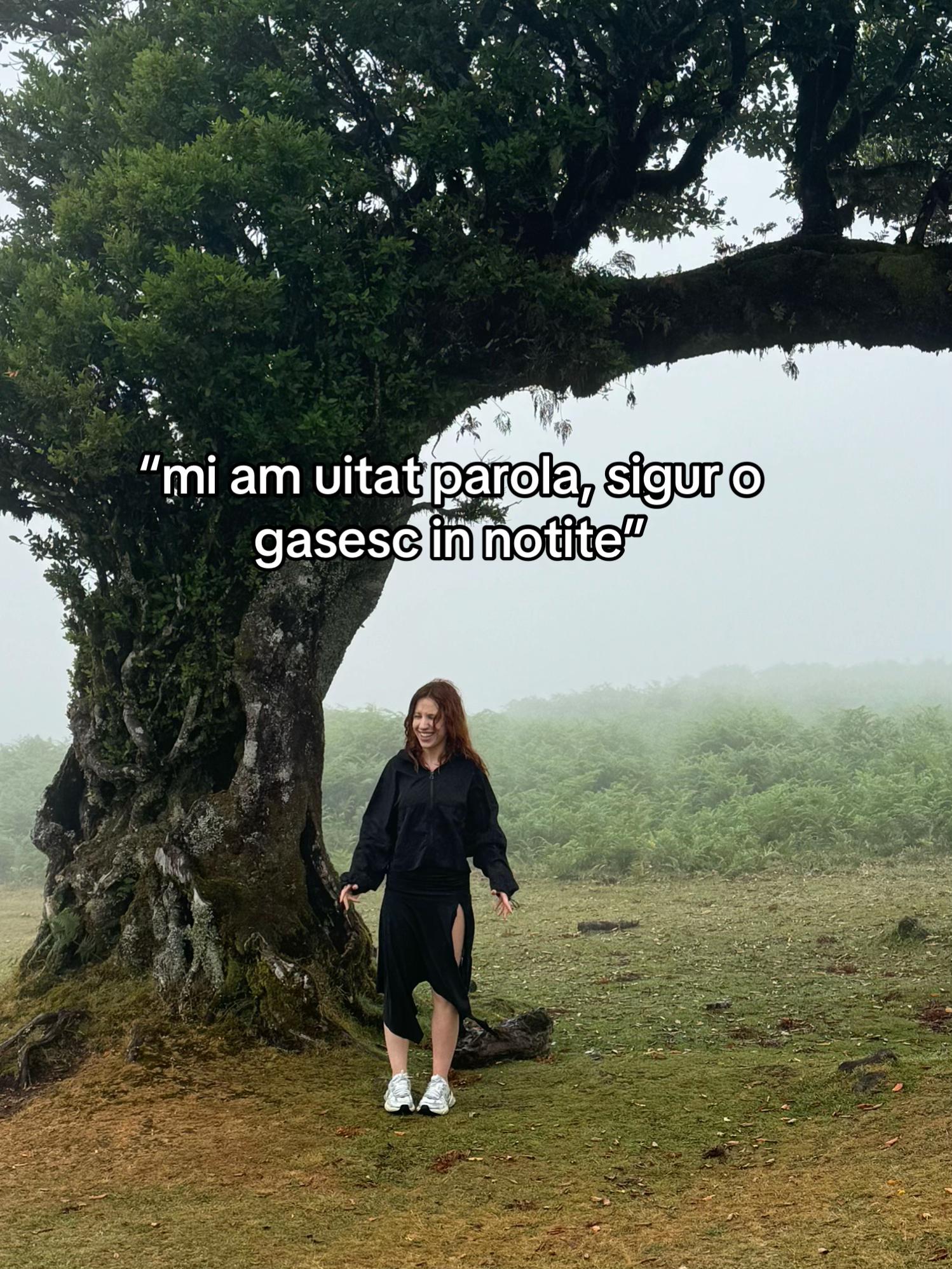 @Catalina Banica