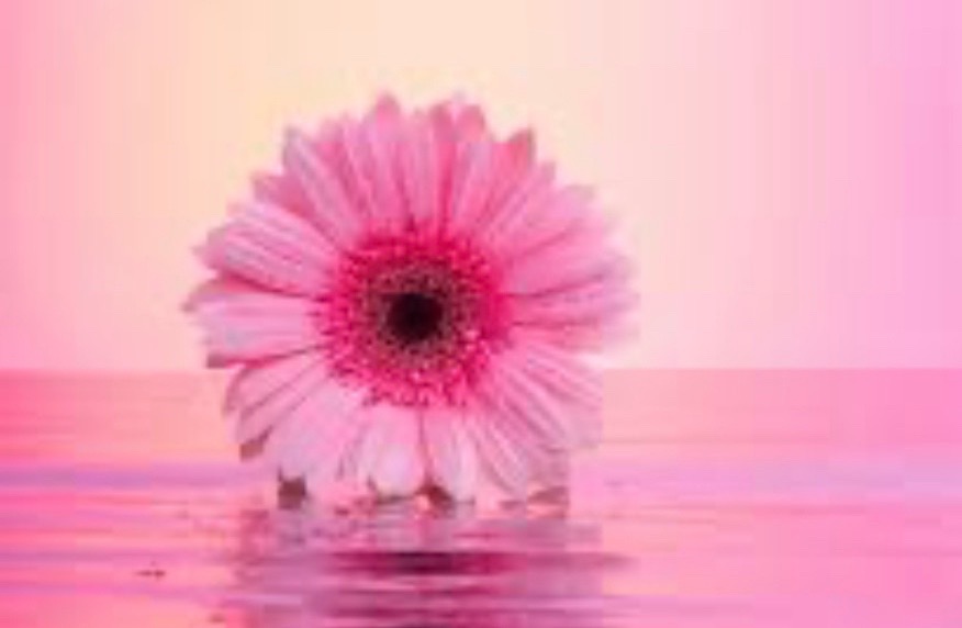 @midlifeteachermagic