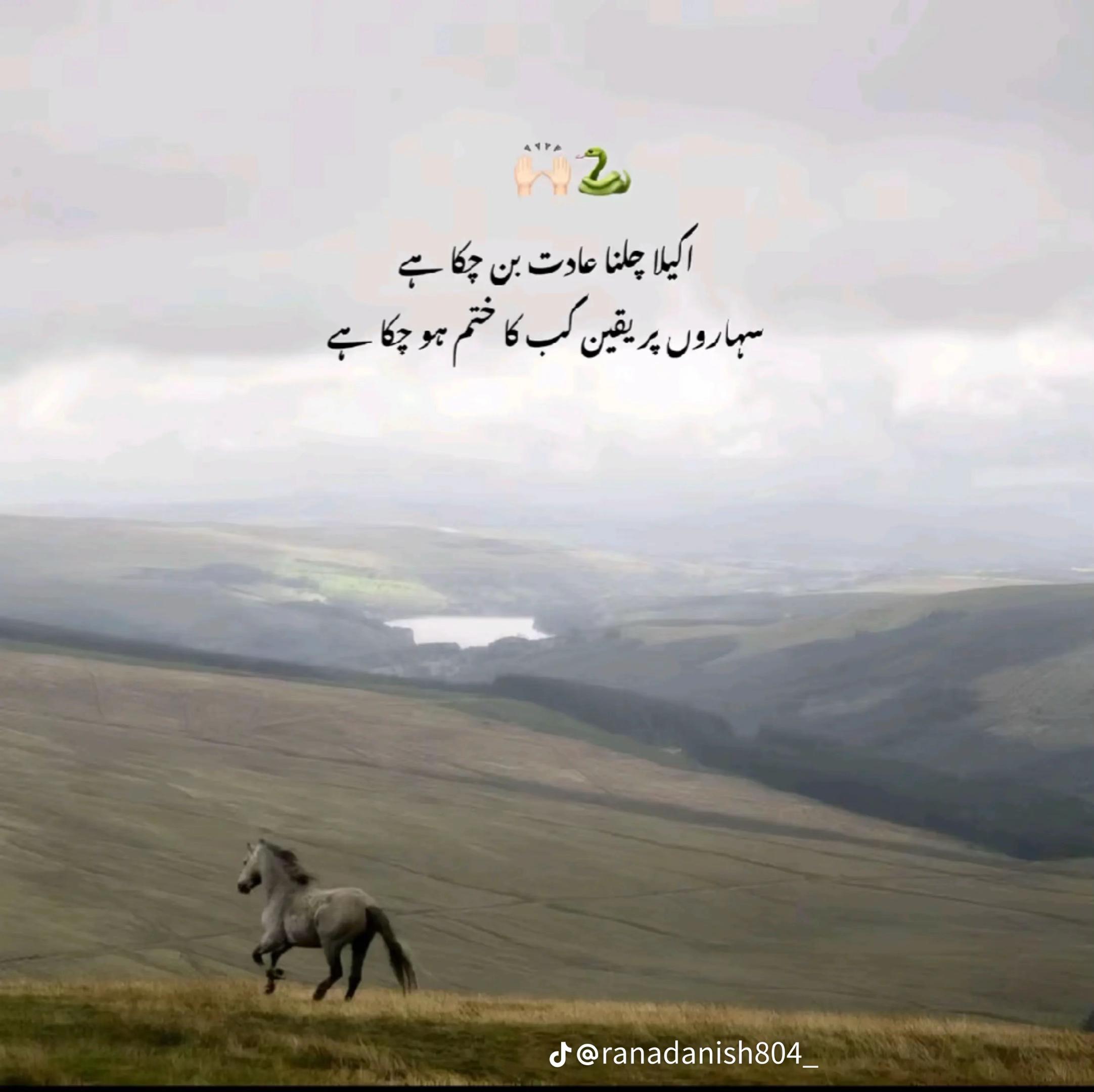 @Team singer Gulaab