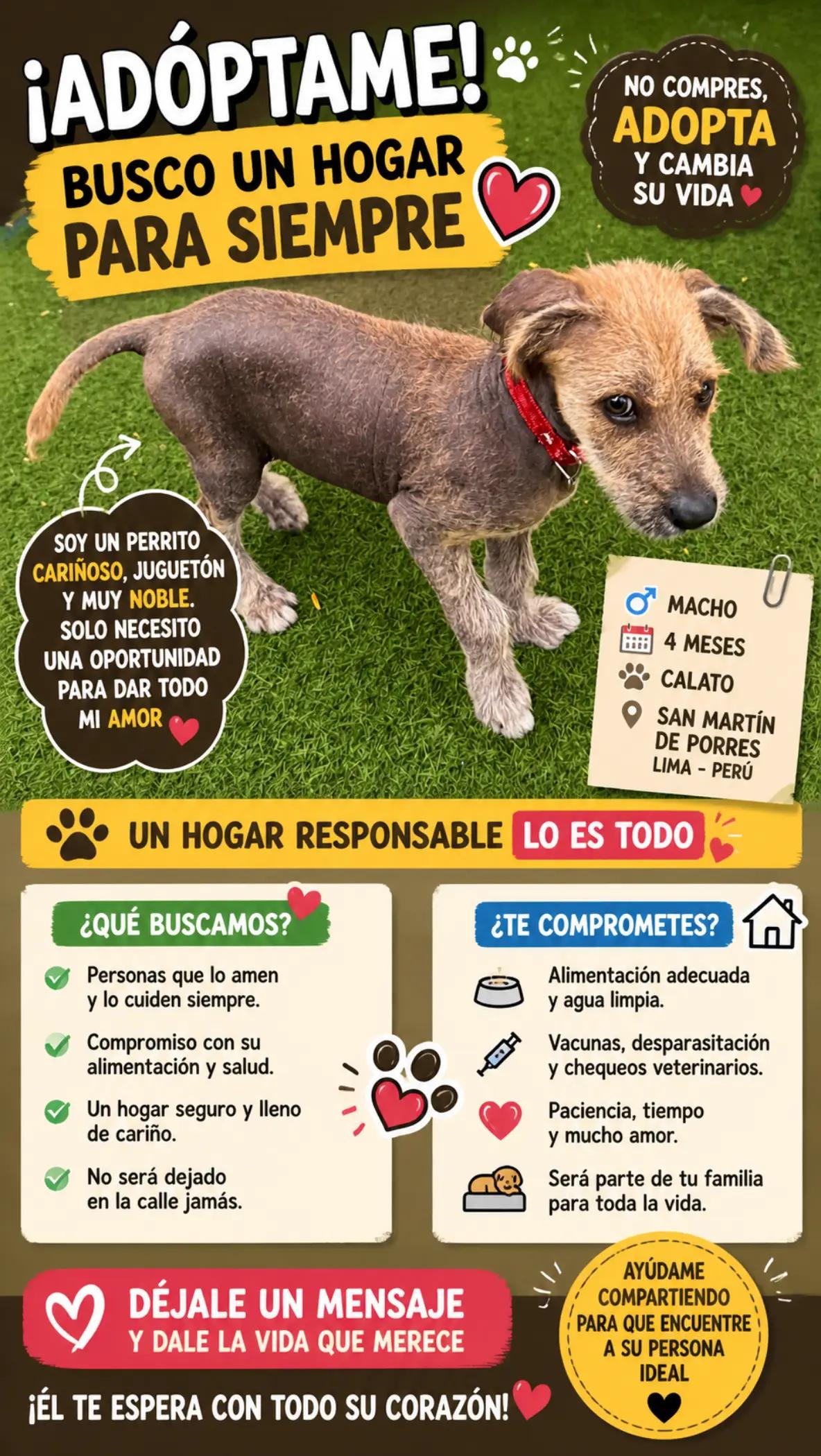 @Perritos Voladores