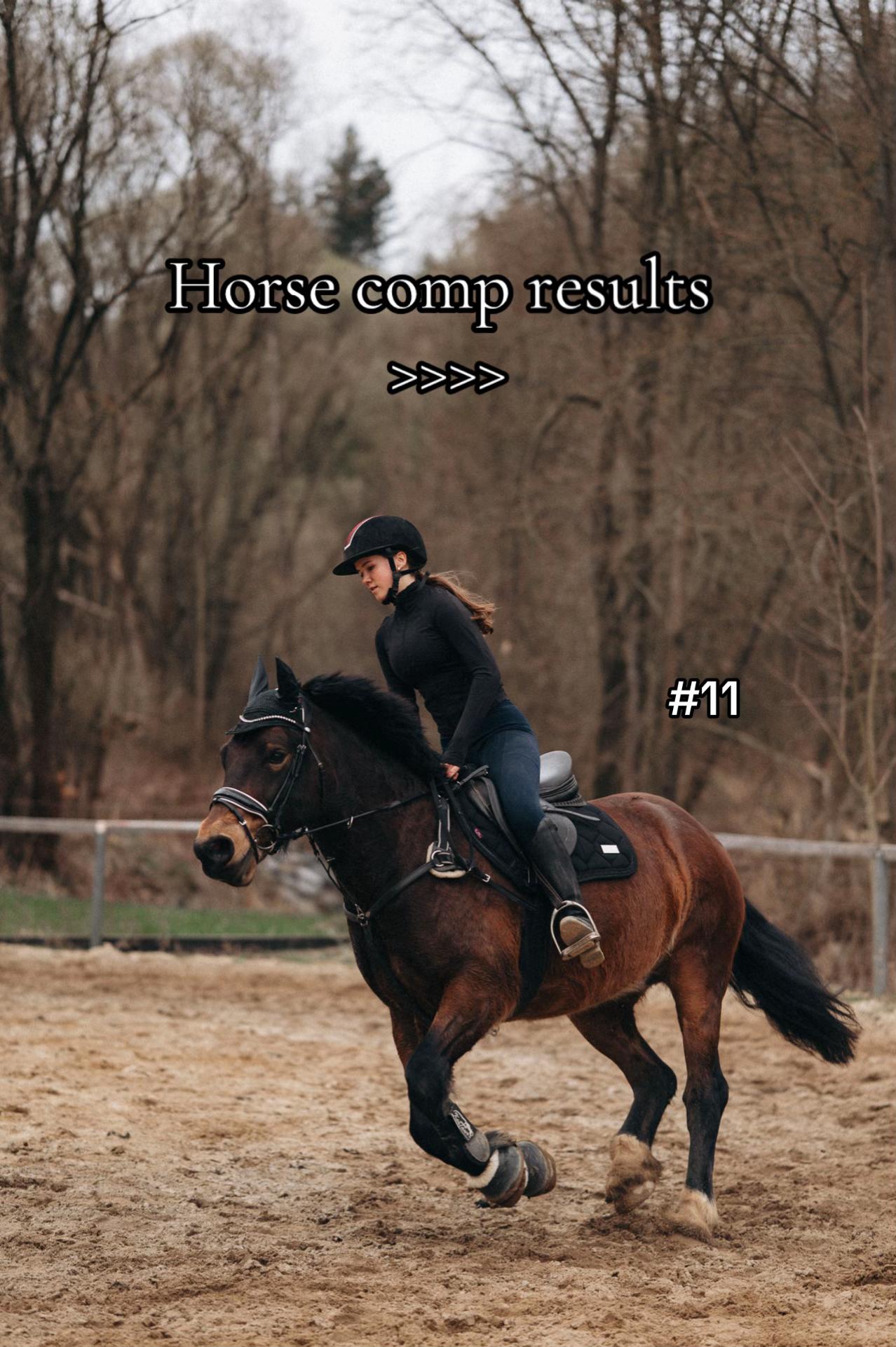 @equestrian._comps