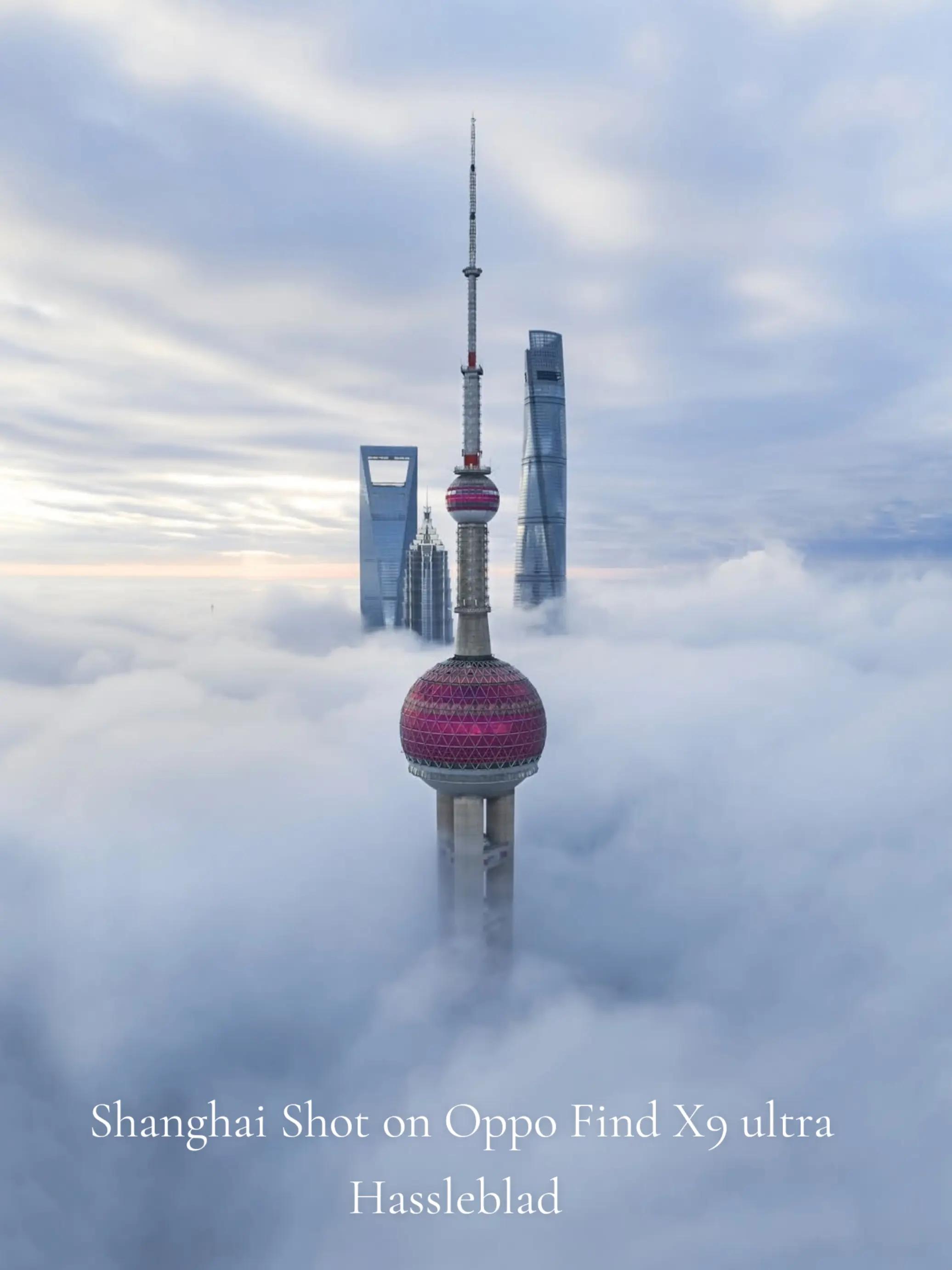 @Travel The World ๐