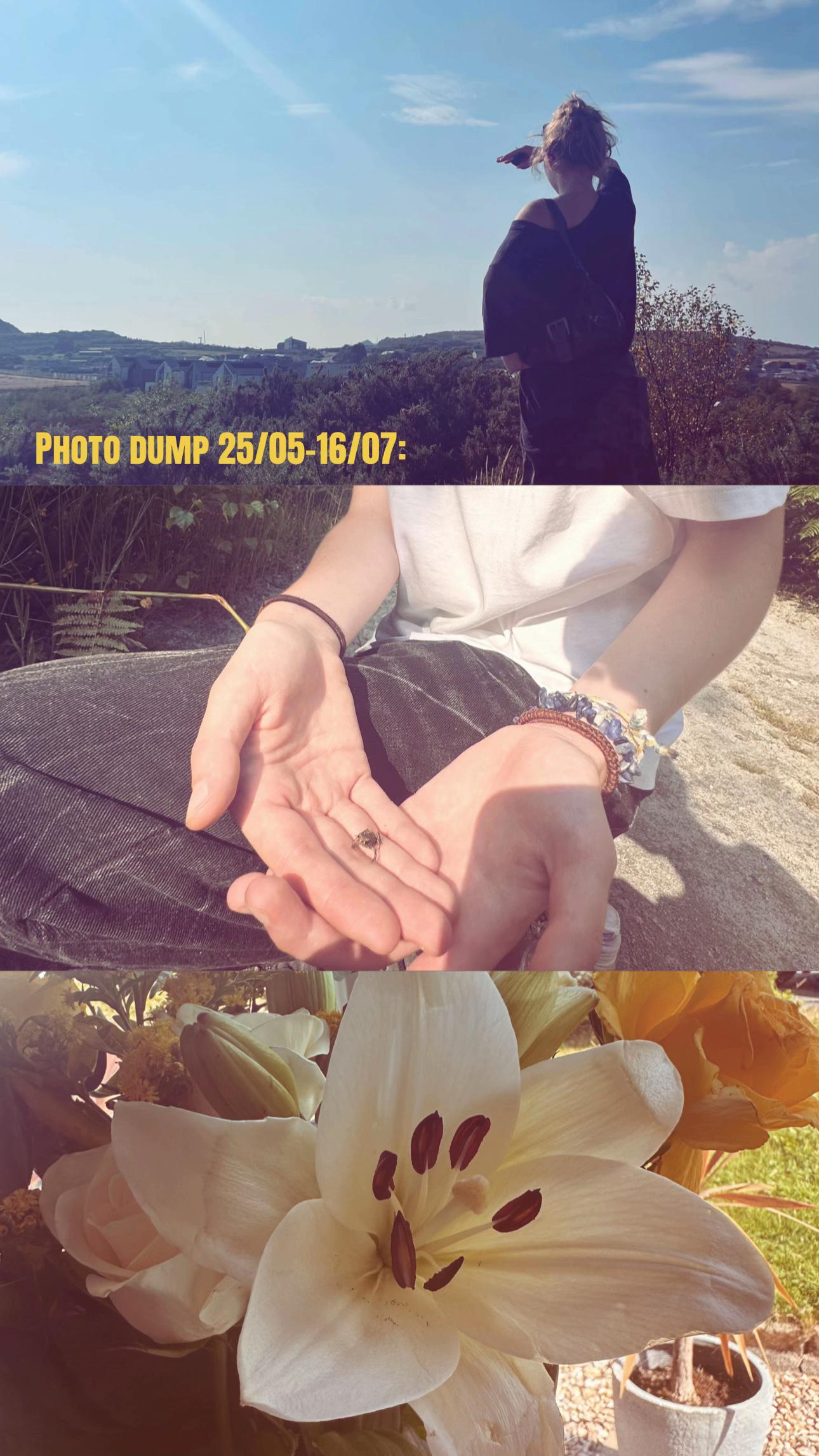 @x-Liana-x
