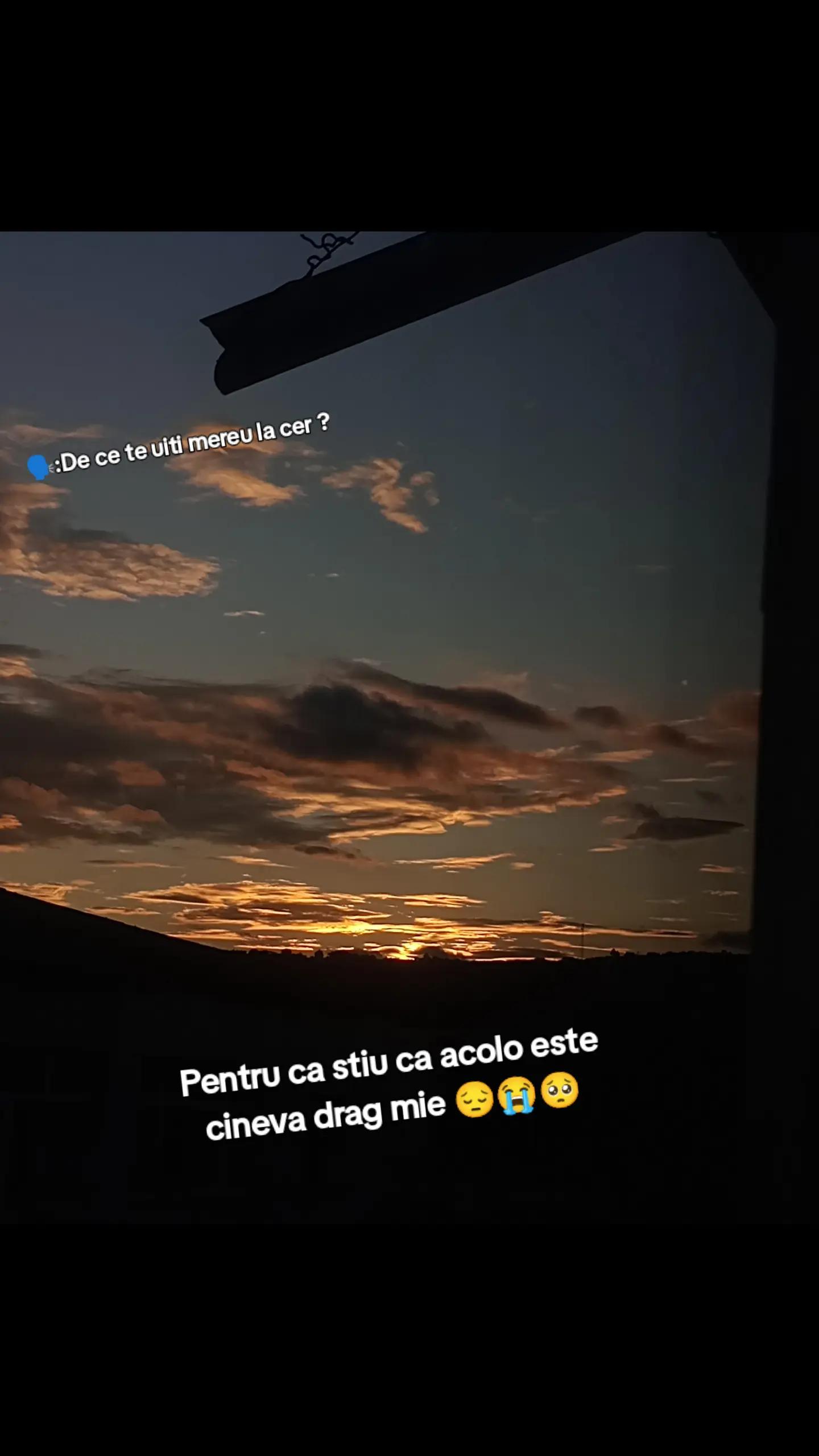 @gilda_malina_bodescu22