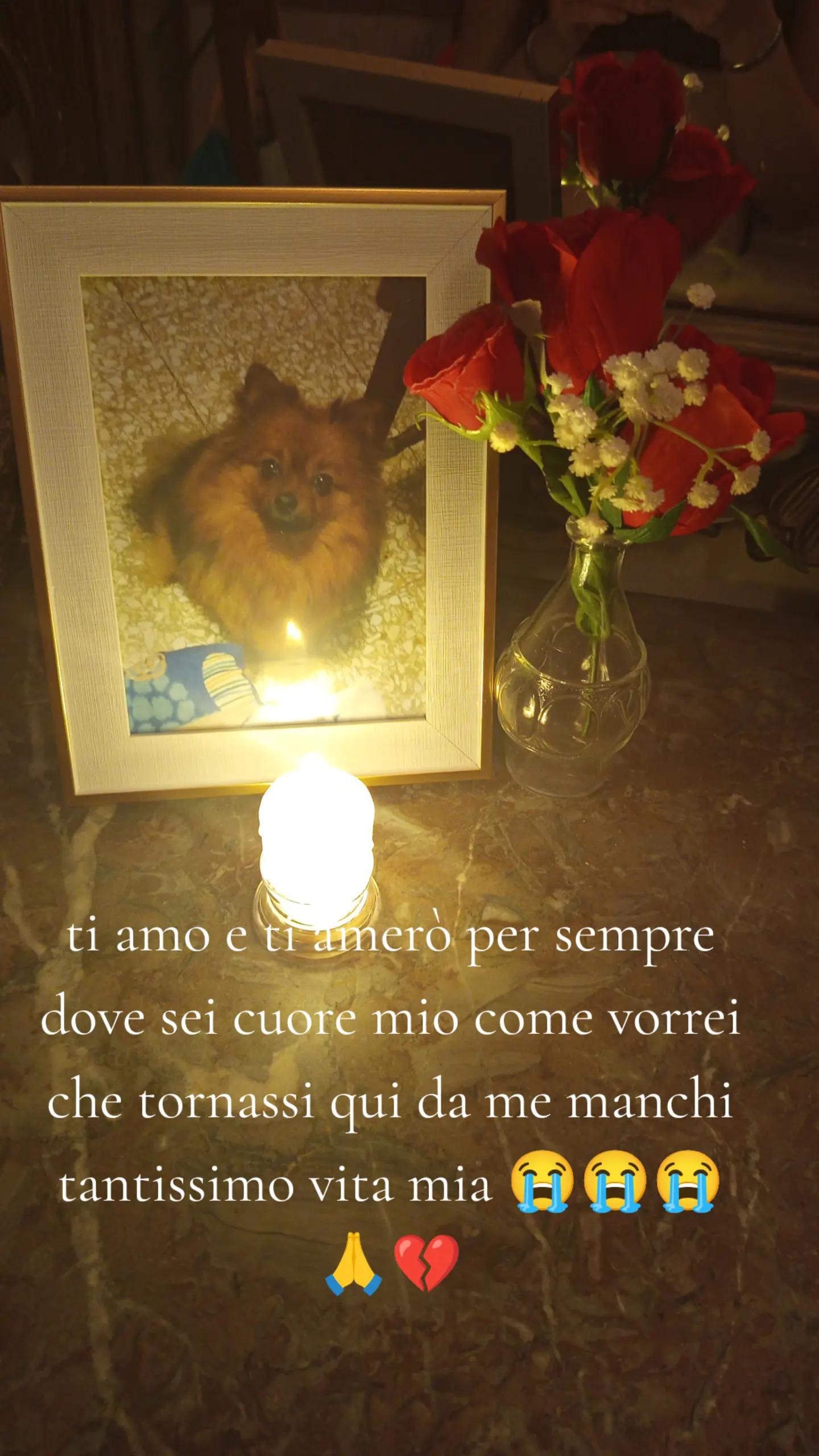 @Carmela Aiello
