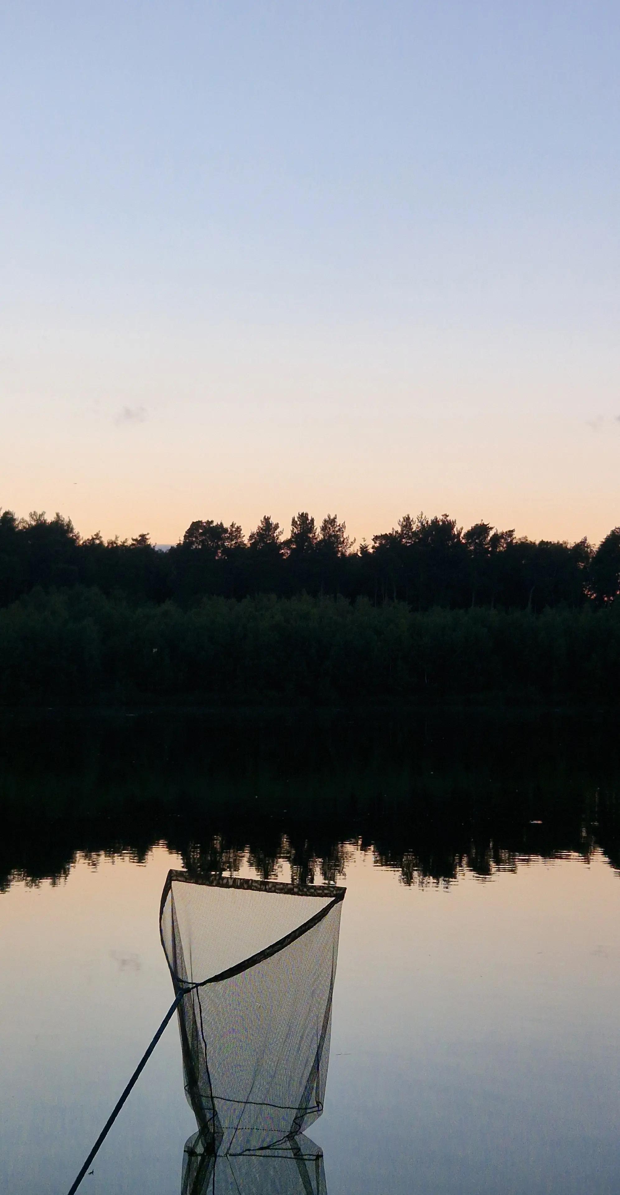 @Carpy Brez