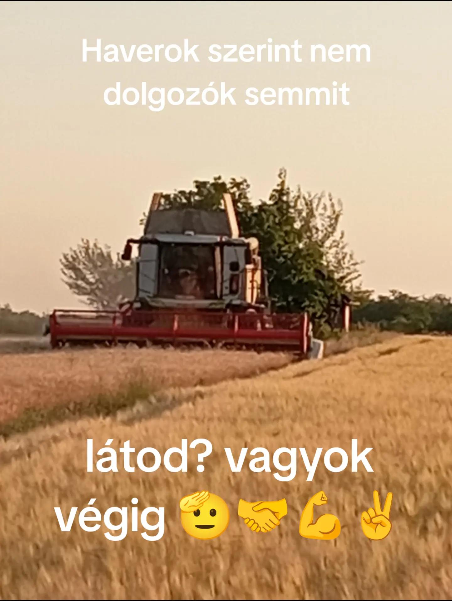 @Máté🚜👨🌾