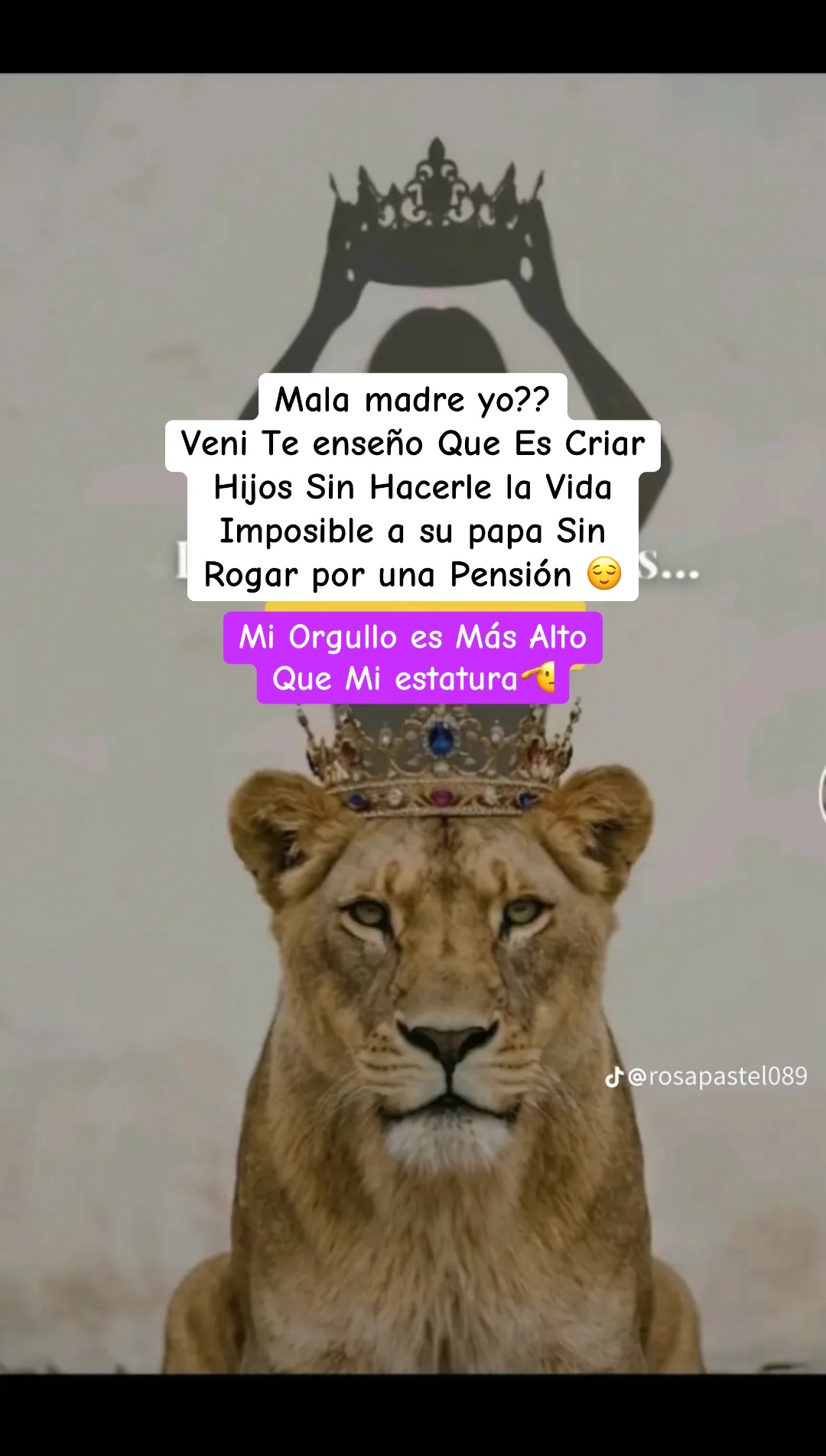 @Hondureña🇭🇳0803