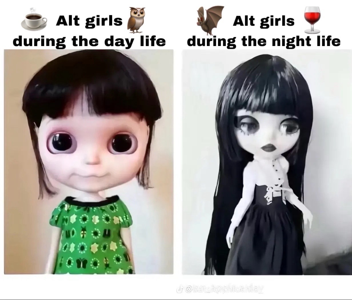 @๐๐๐๐ ๐ชฝ