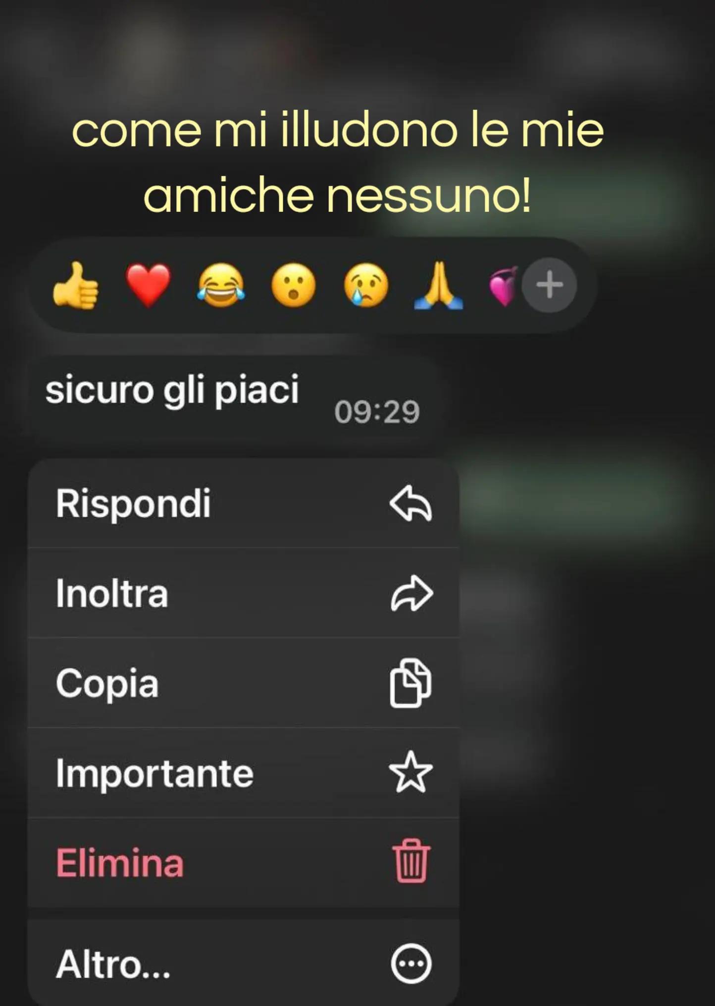 @asia_spamm