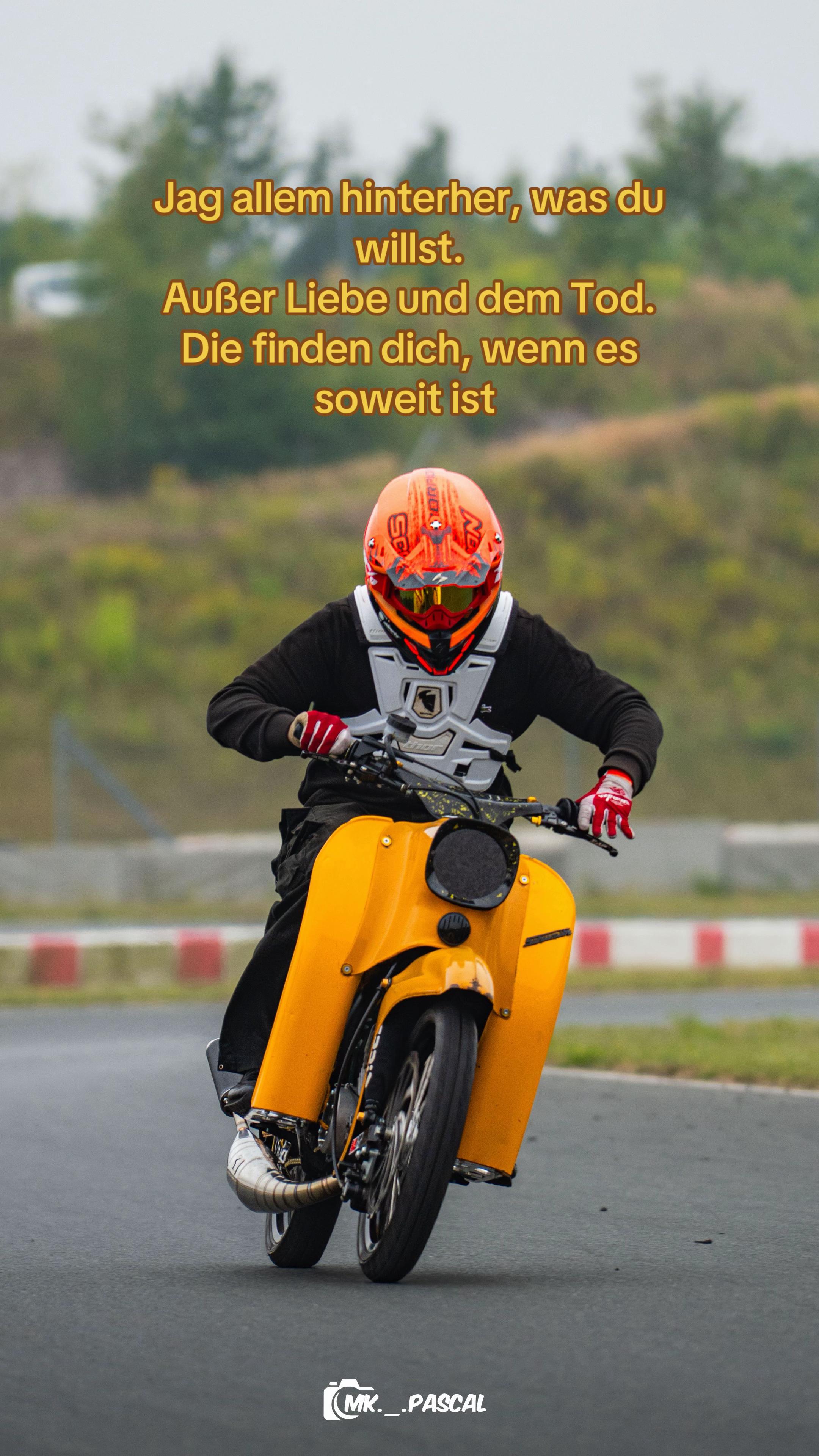 @ossilandlebt