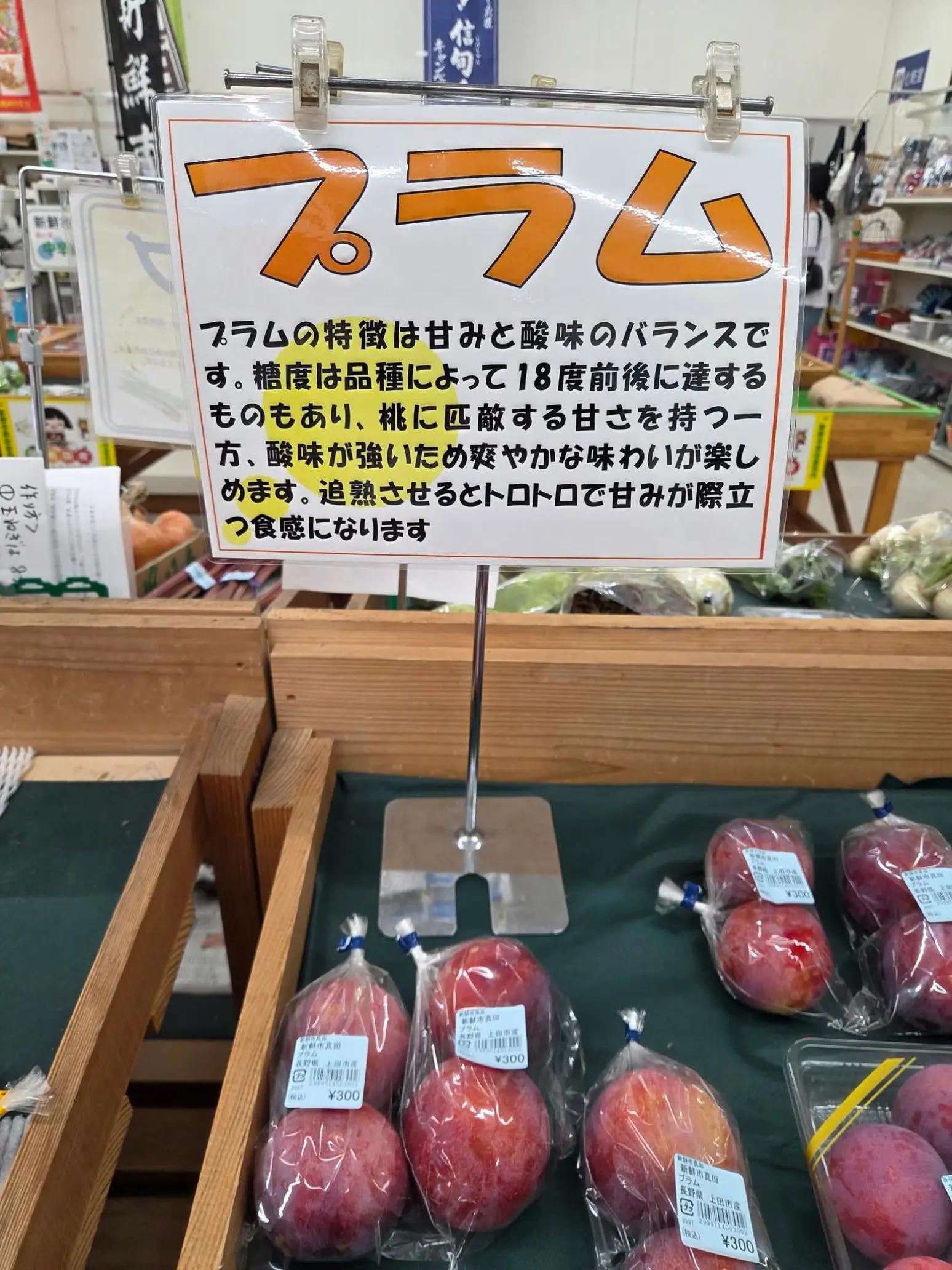 @抓尼先生日文