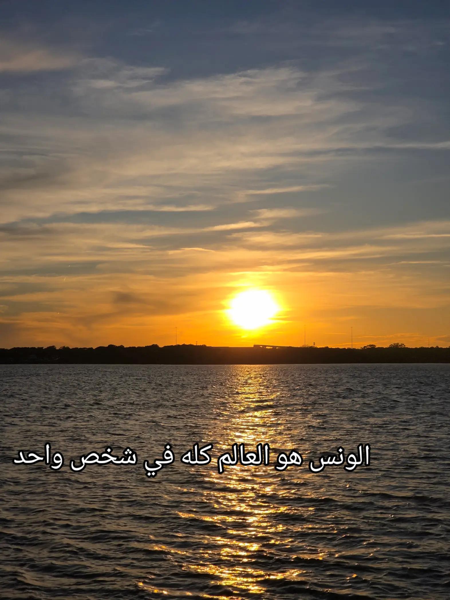 @فادي المصري