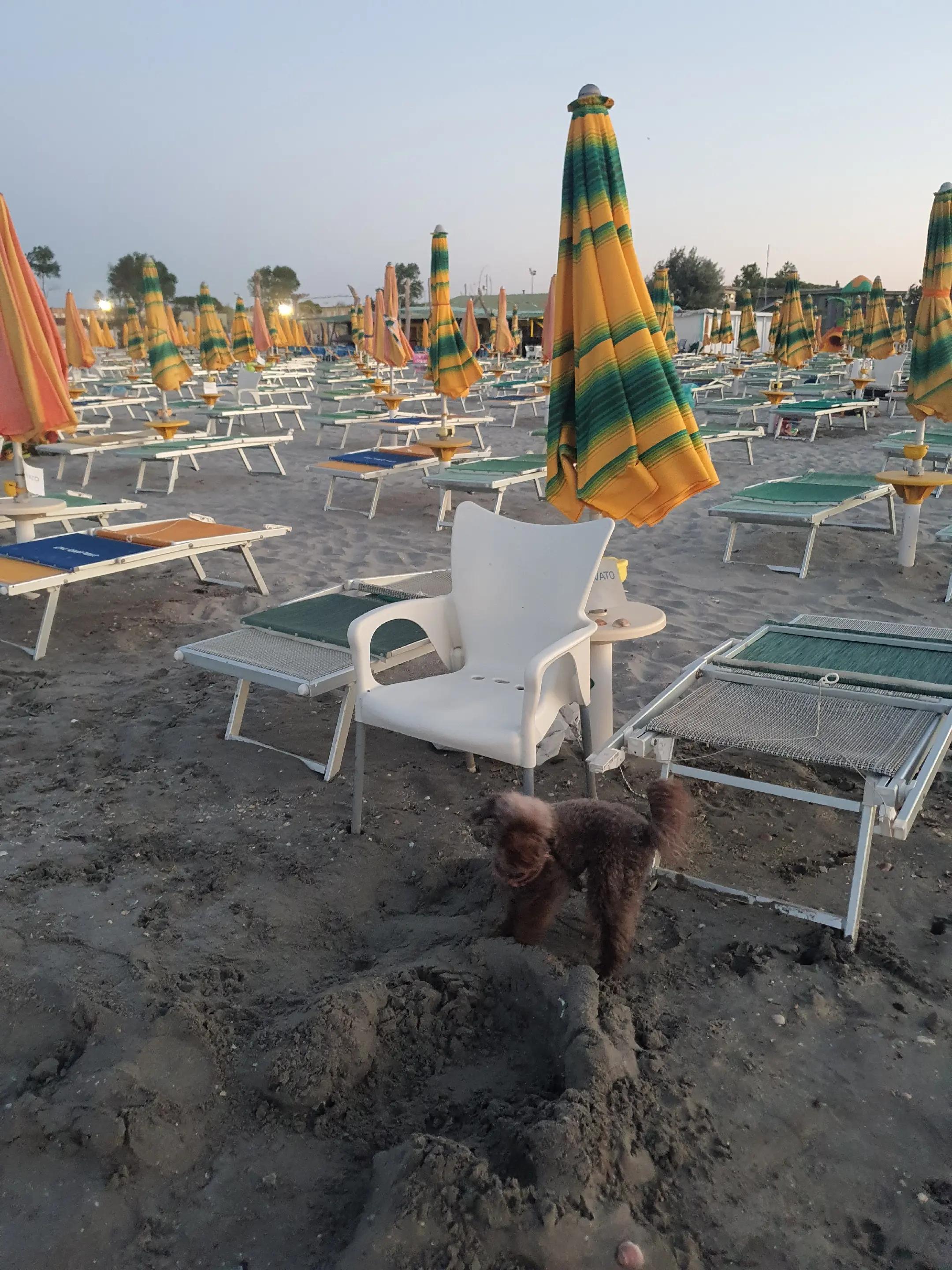 @Gianluca Surfista
