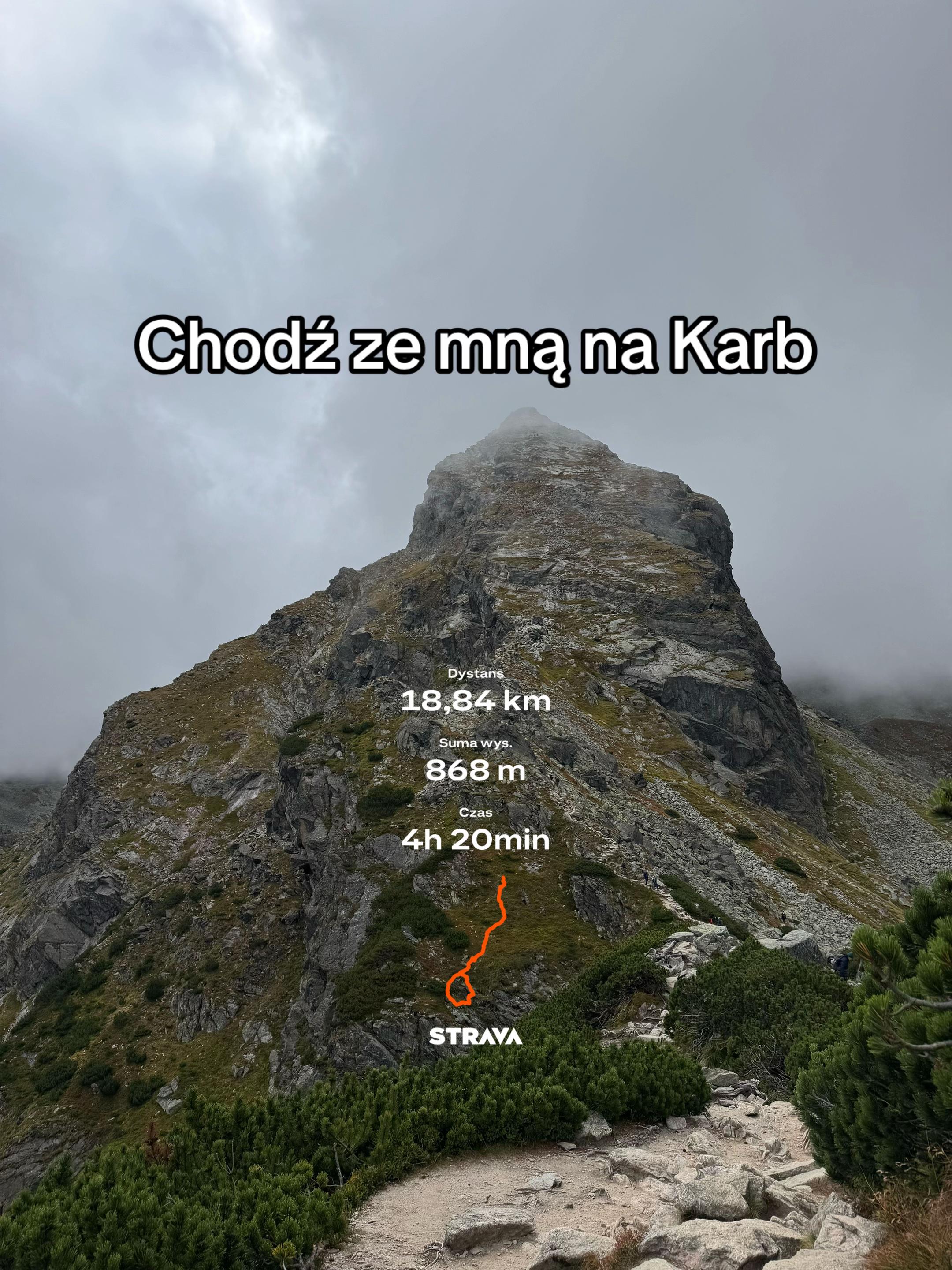 @Kiki🪷