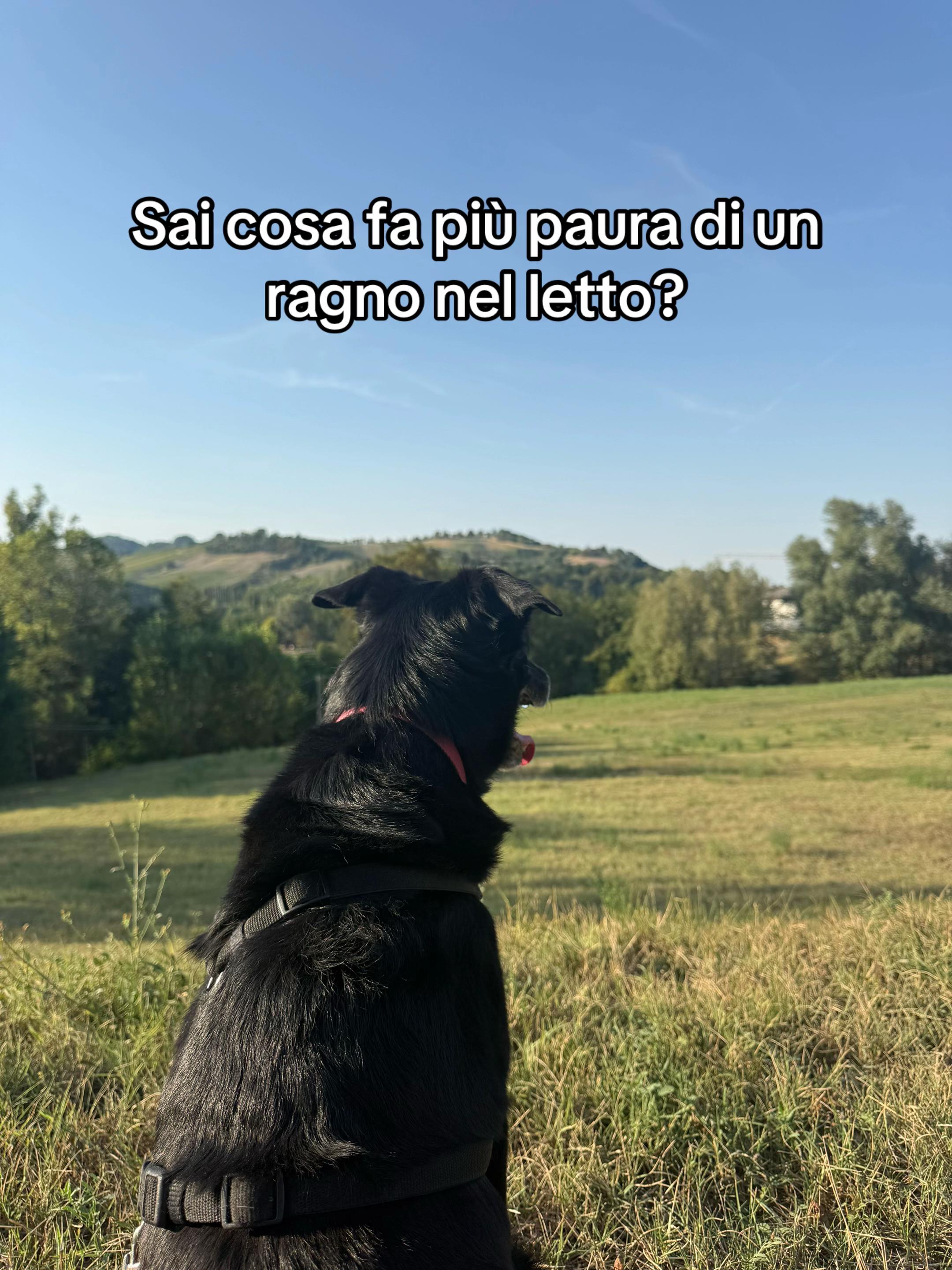 @Julia