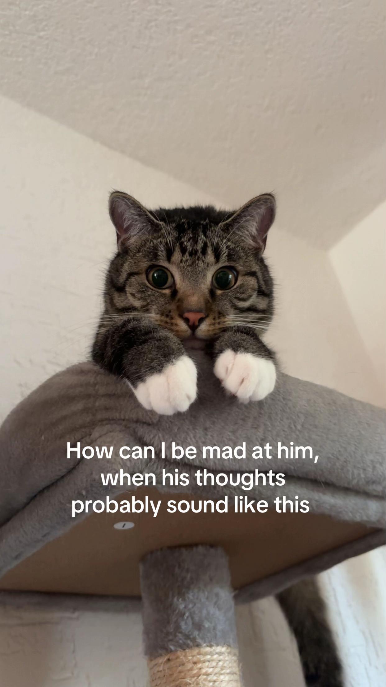 @๐๐๐๐๐ต๐น