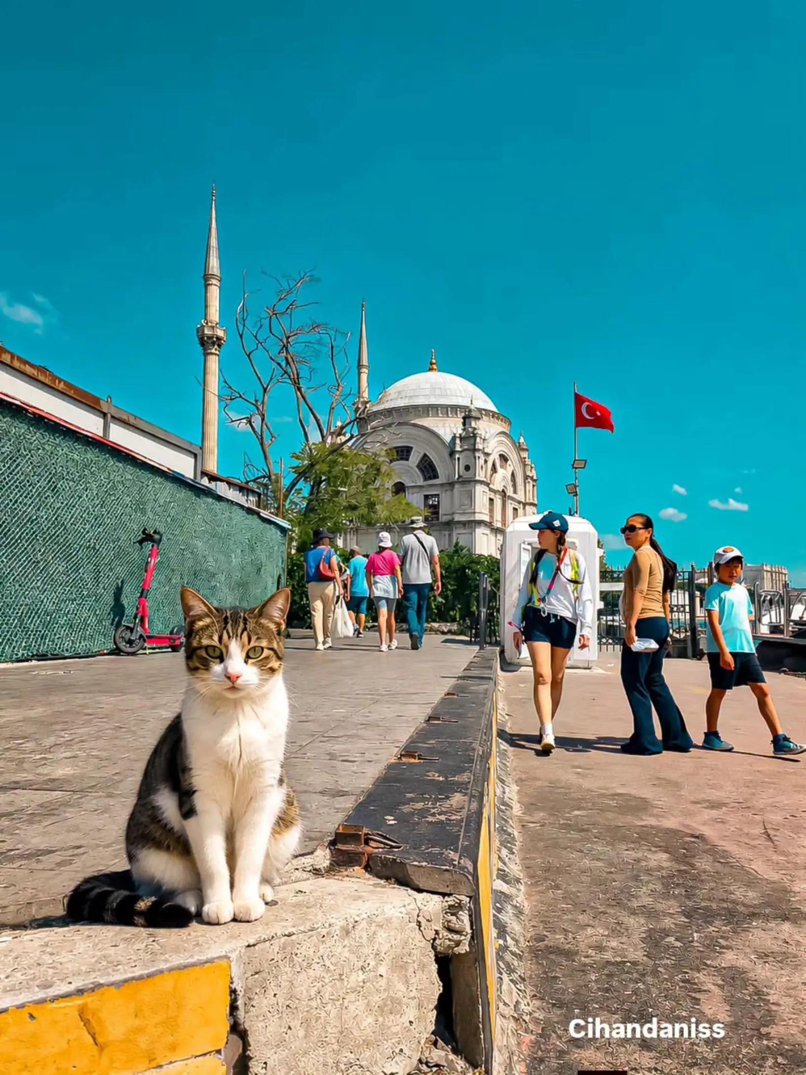 @Ali gül