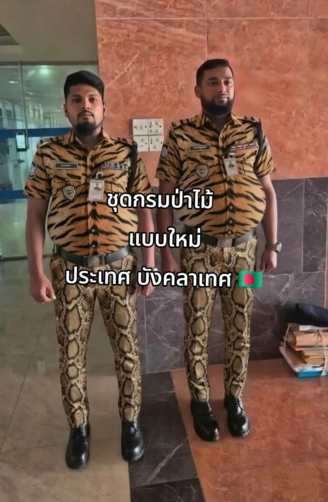 @Nutzimoto