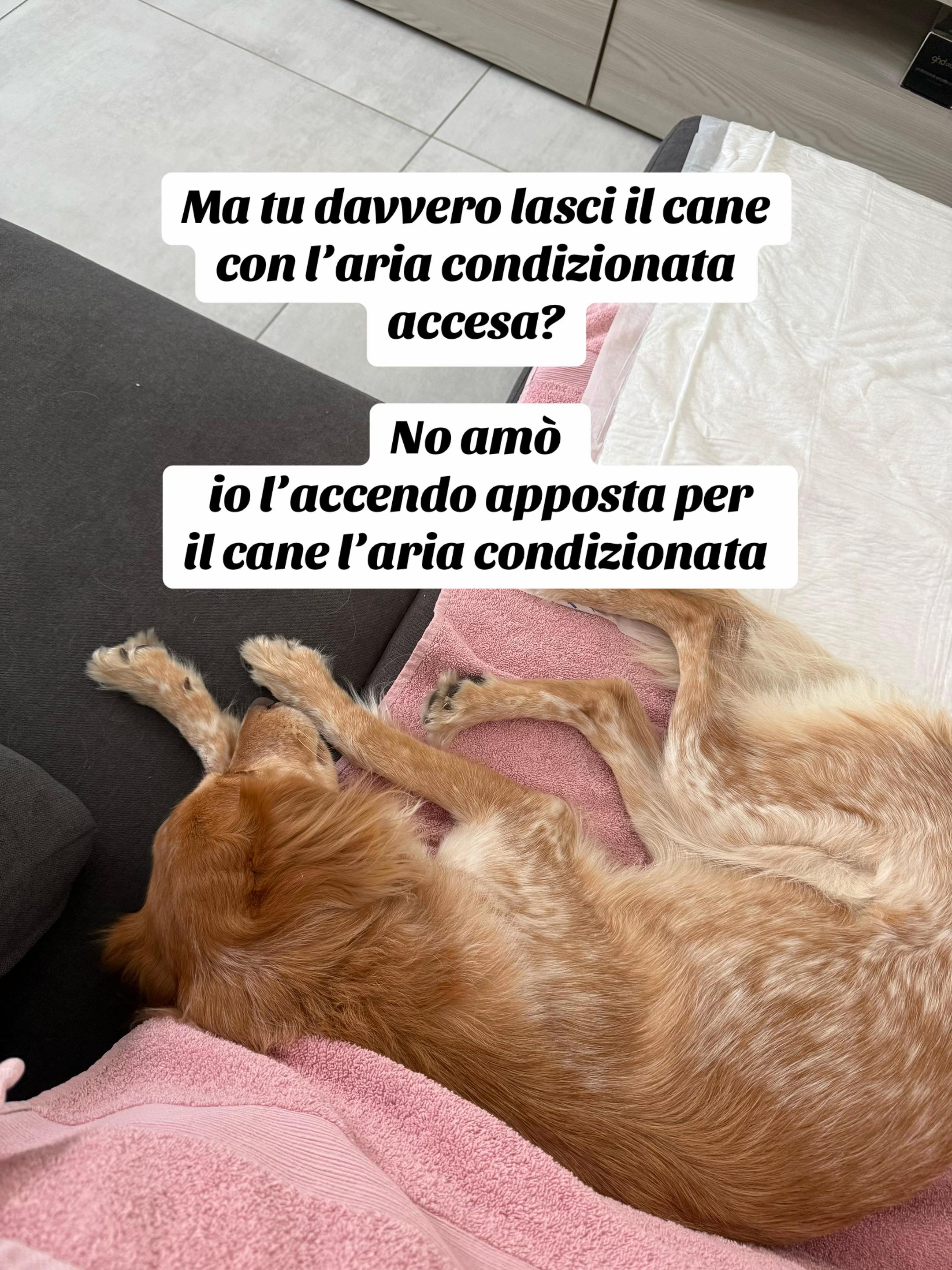 @dalisia_ds