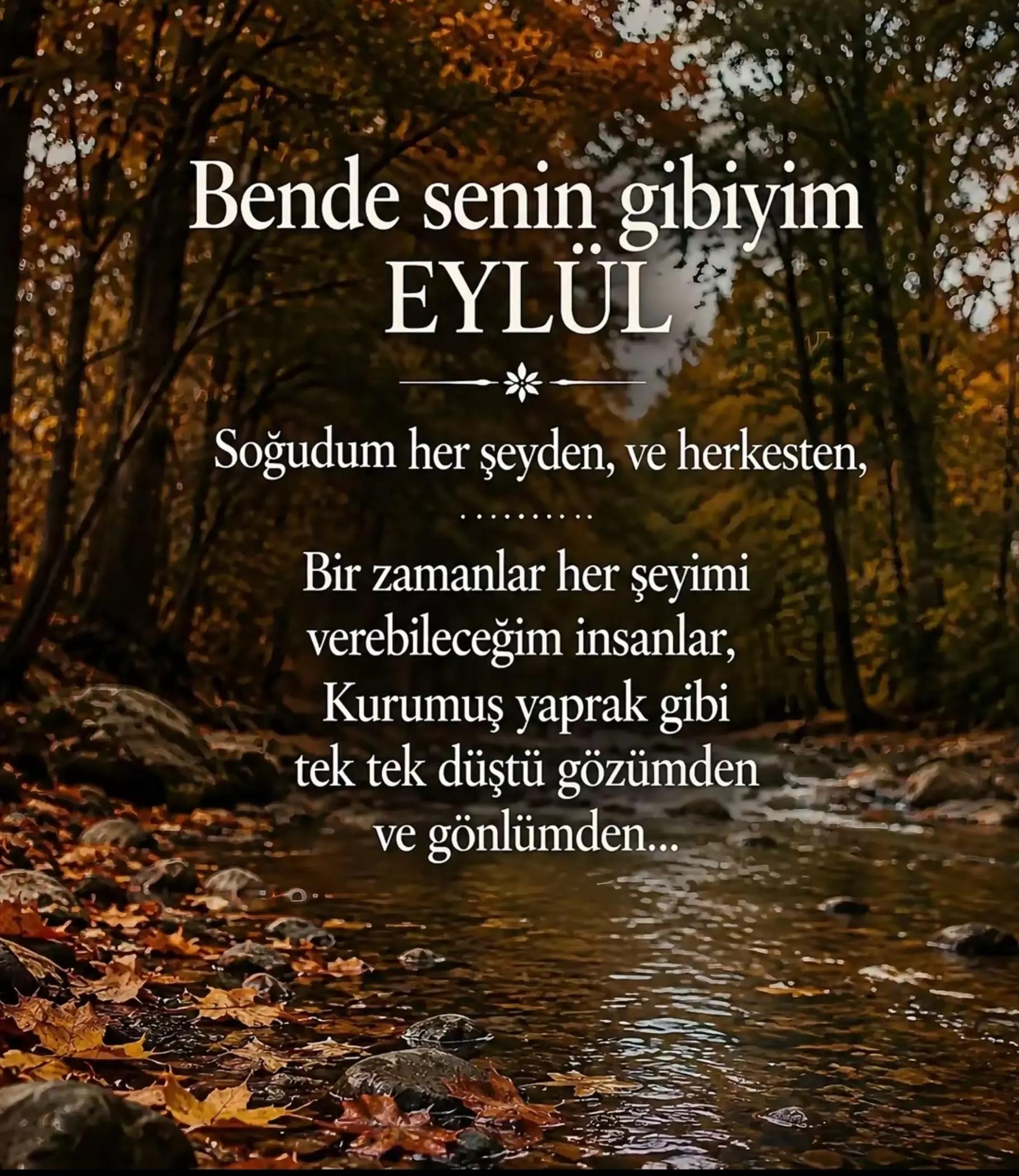 @Şenol Çelik