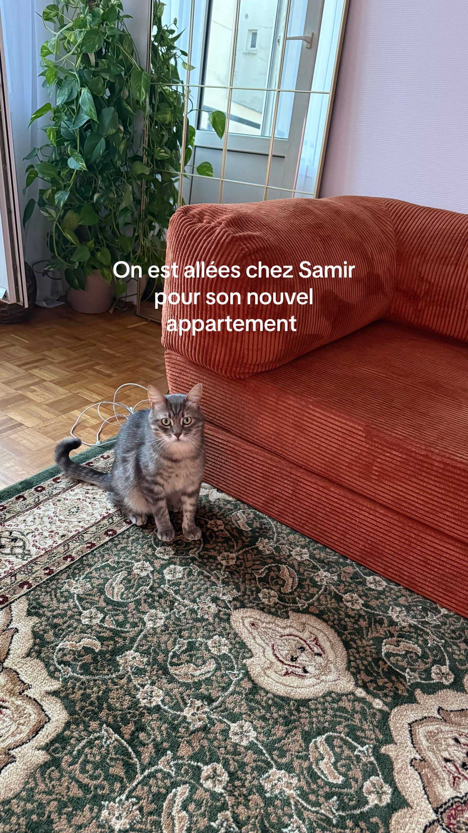 @Am&eacute;low