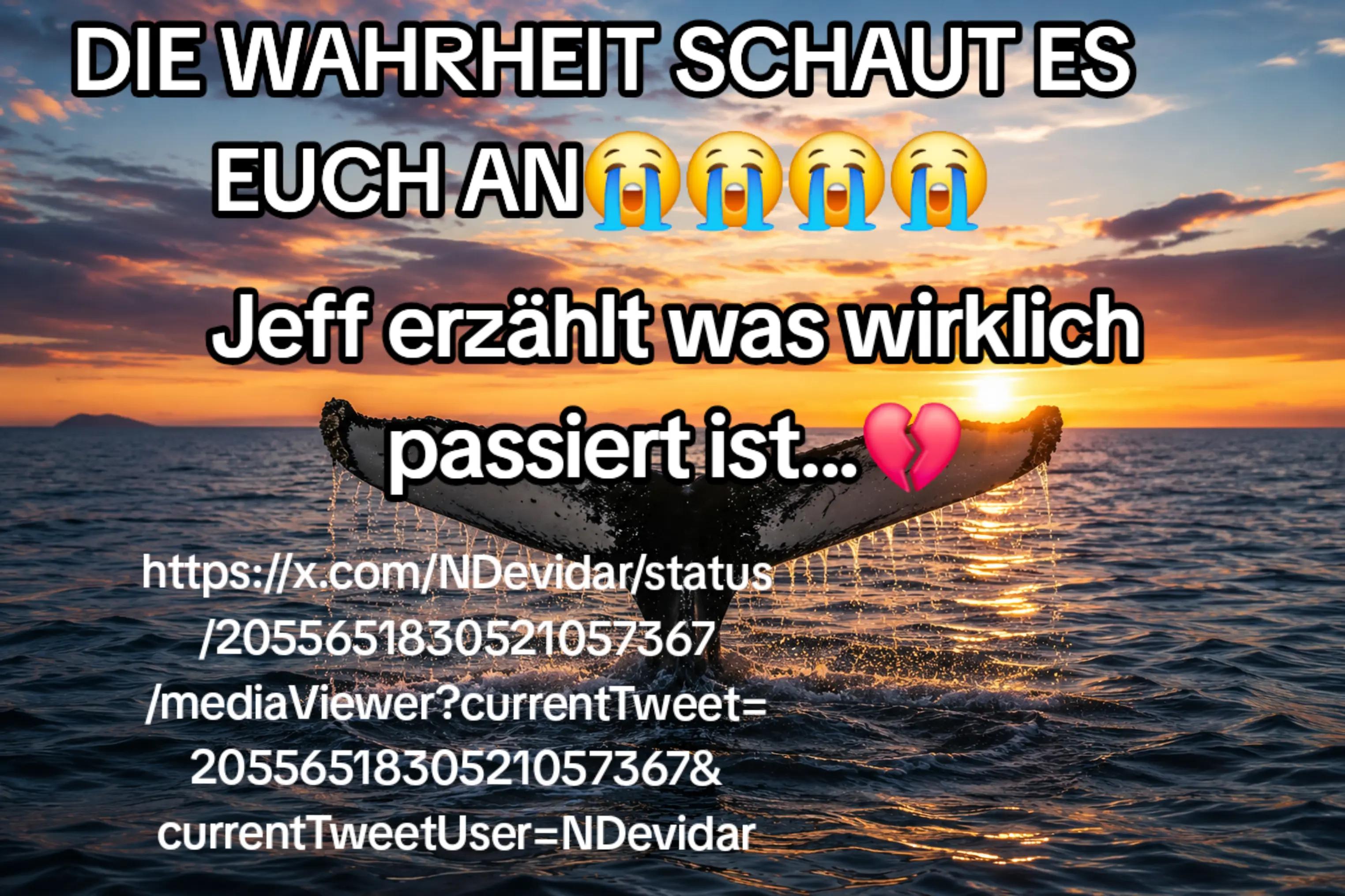 @🐳📚❤️DreamySusu❤️📚🐳