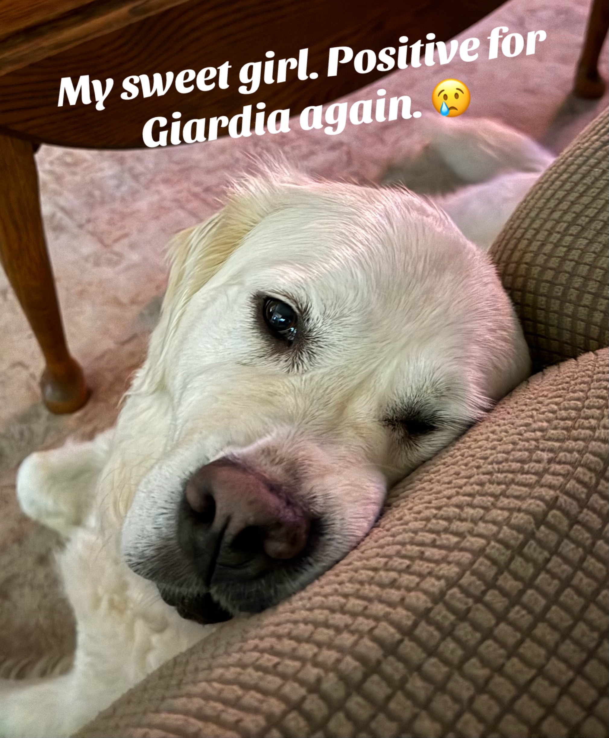 @lifewithduke2025
