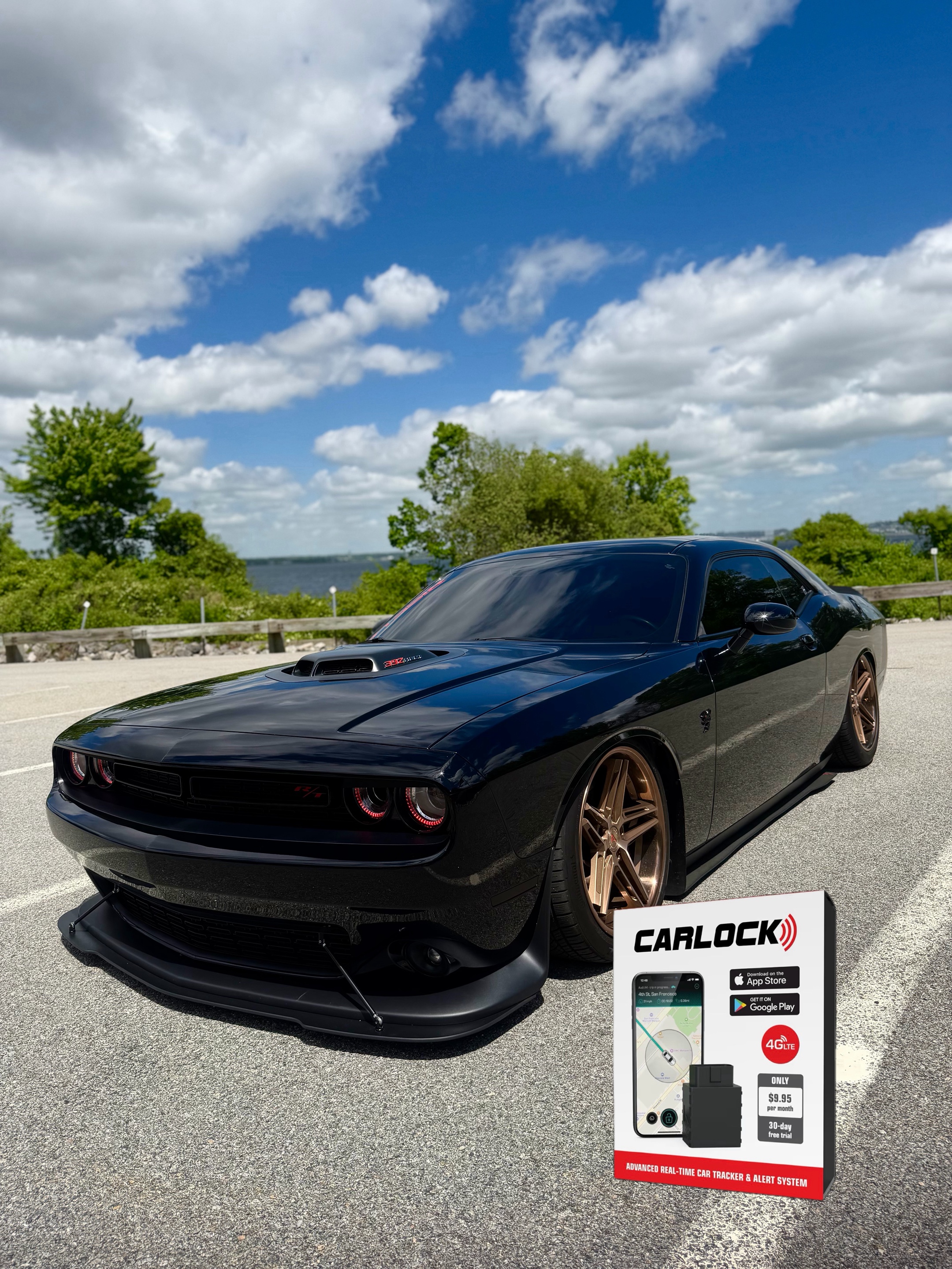 @Scatpack Bee 🐝