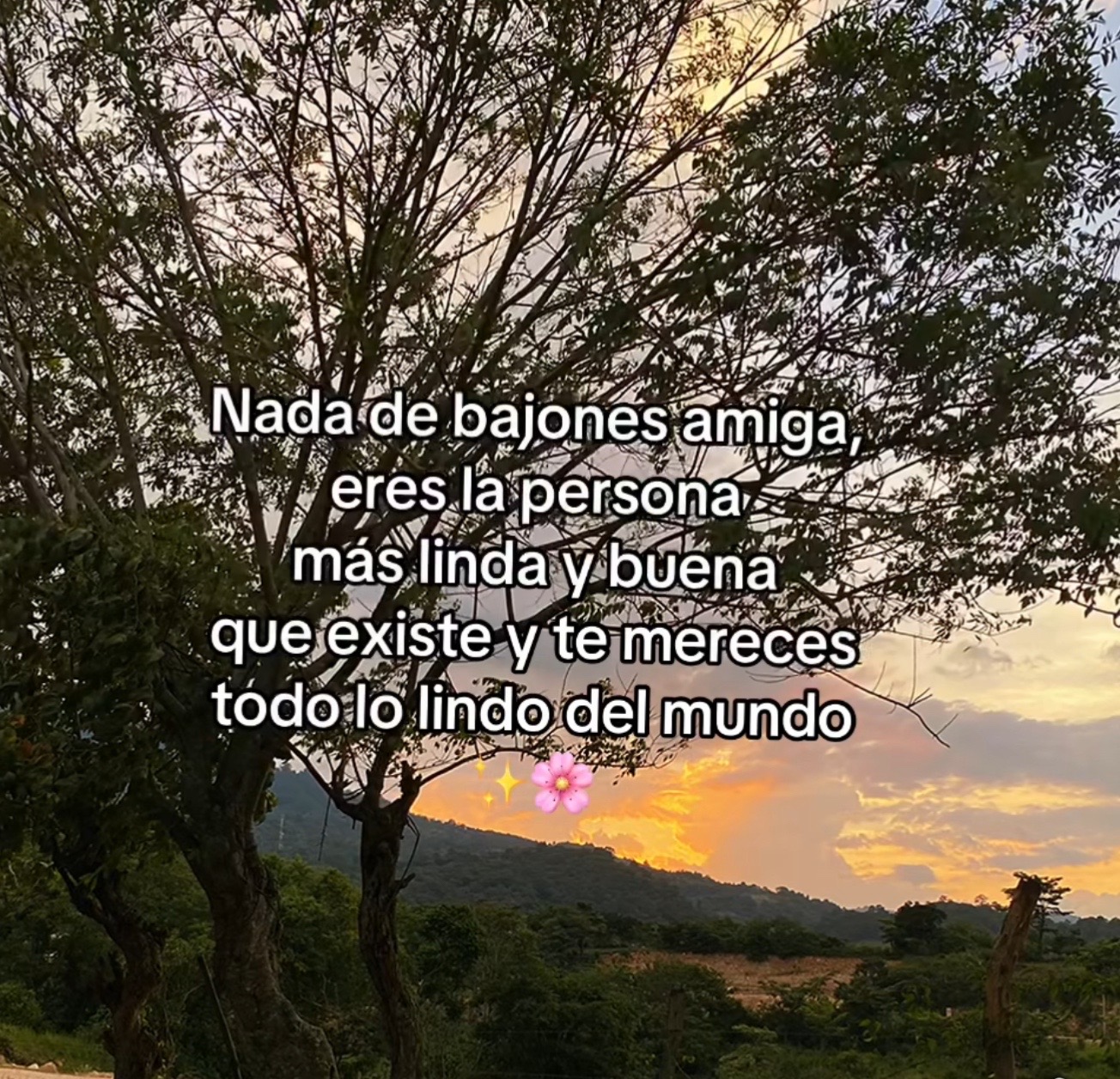 @๐คJazmin Rodriguez ๐๐
๐๐