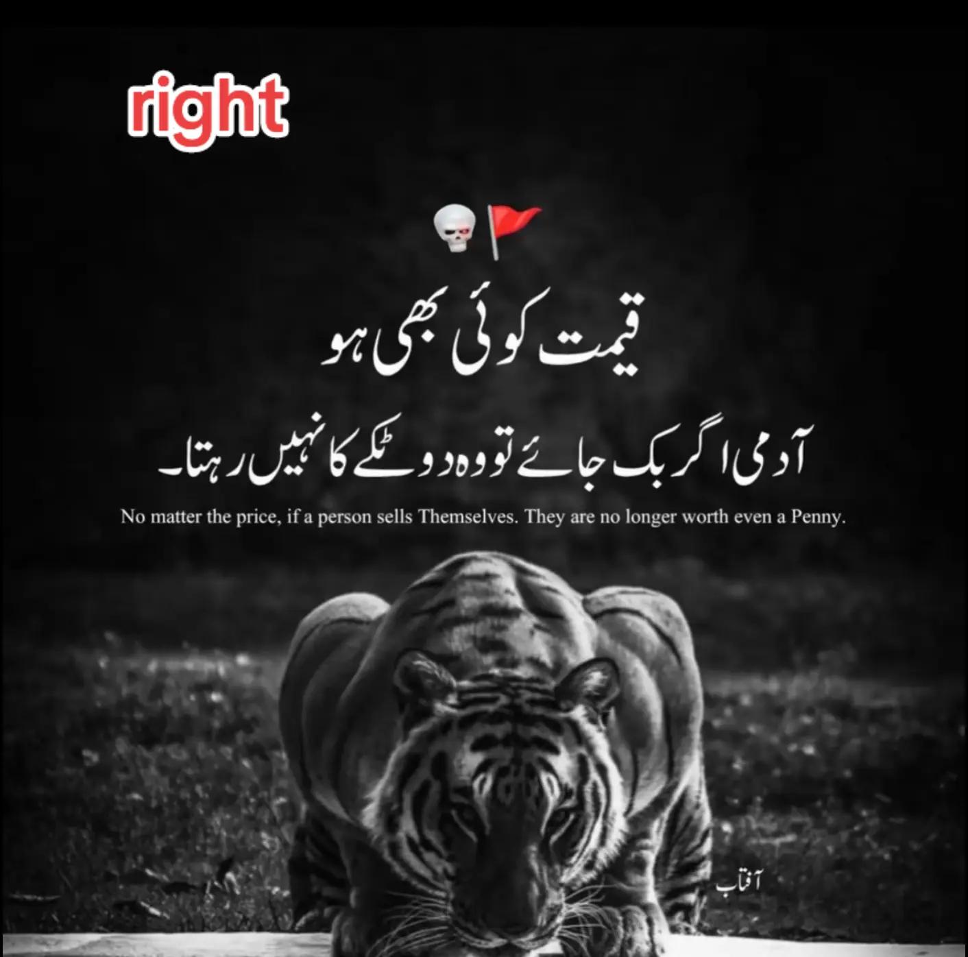 @murshid Ansari 🥰🚩❤️
