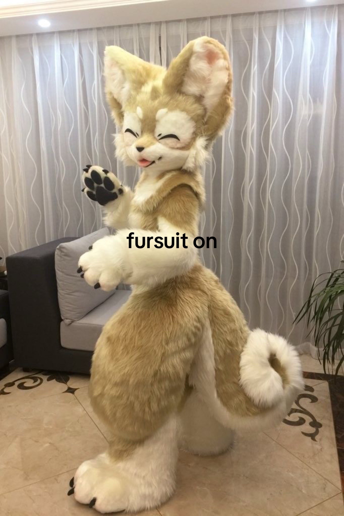 @Dex✧.*