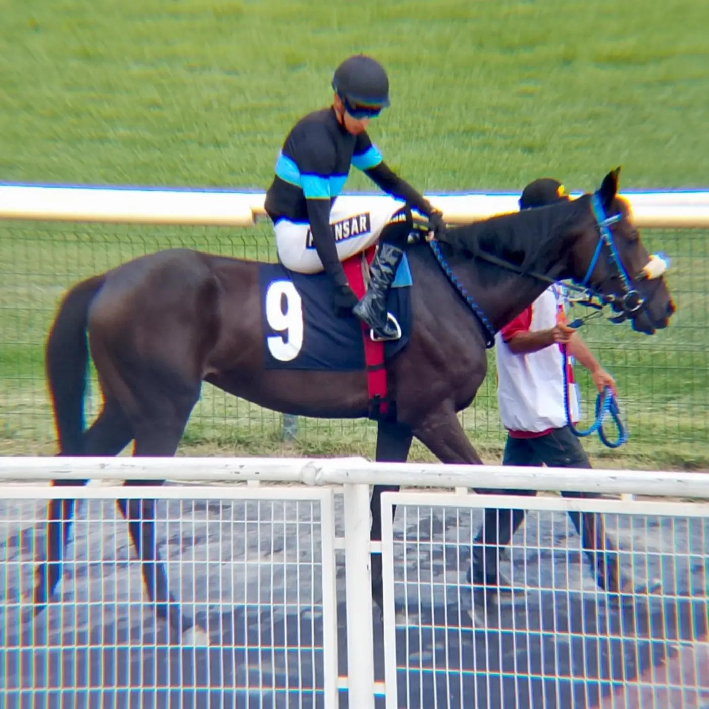 @brs horse racing