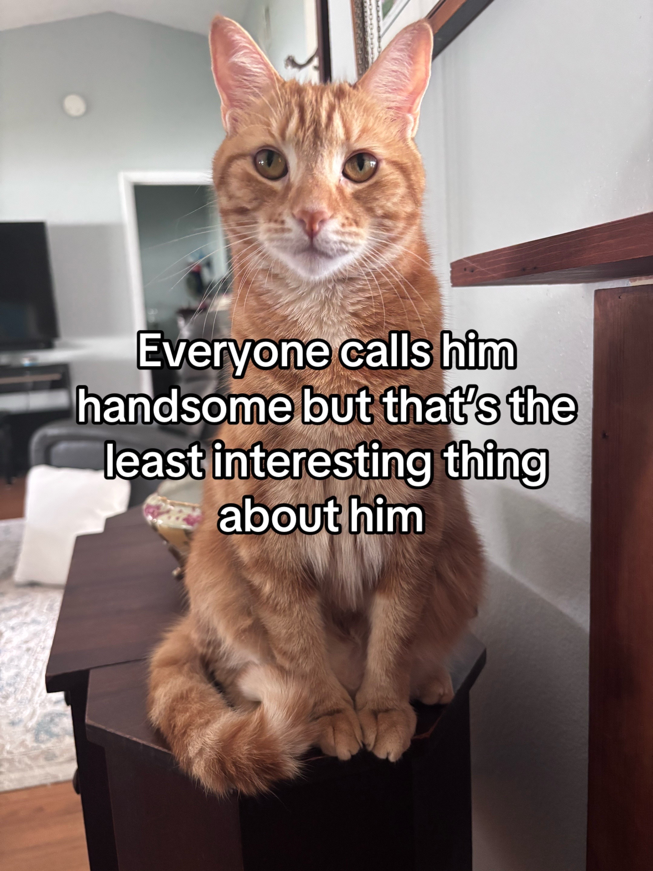 @T👑