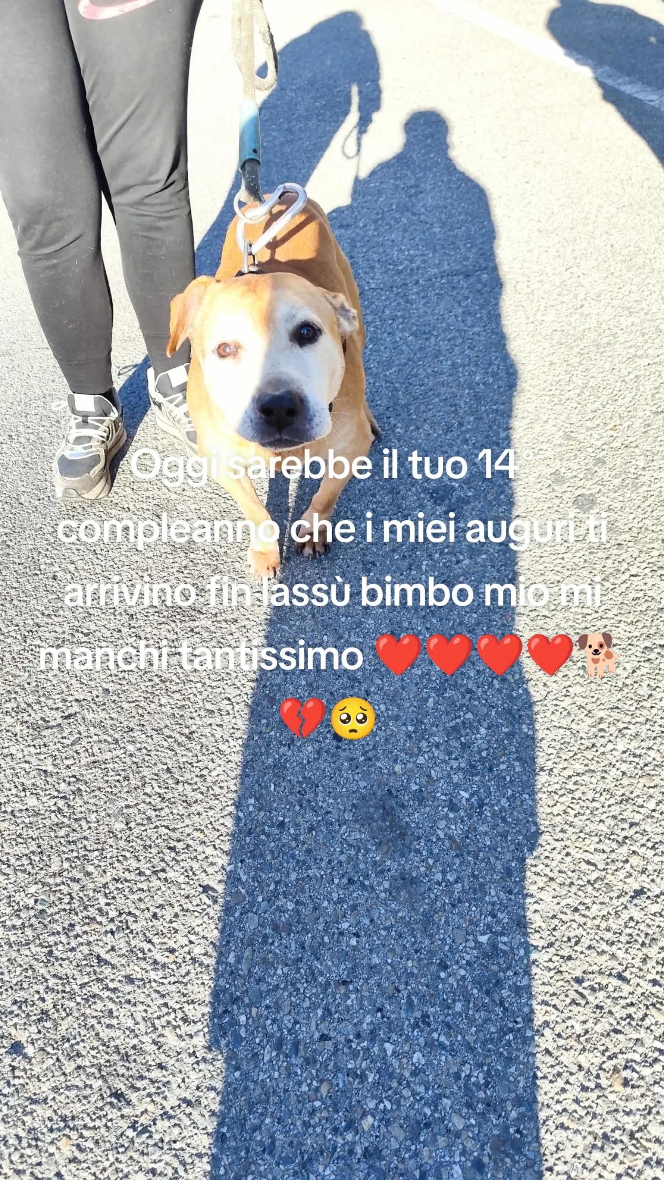 @ᴸᵒʳʸ84 🌈