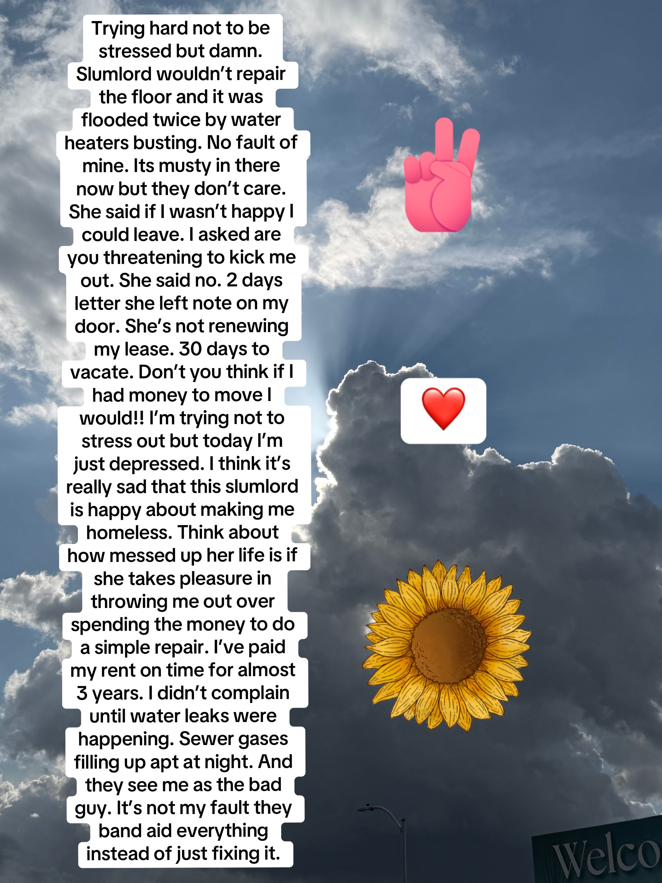 @lauratxhomes