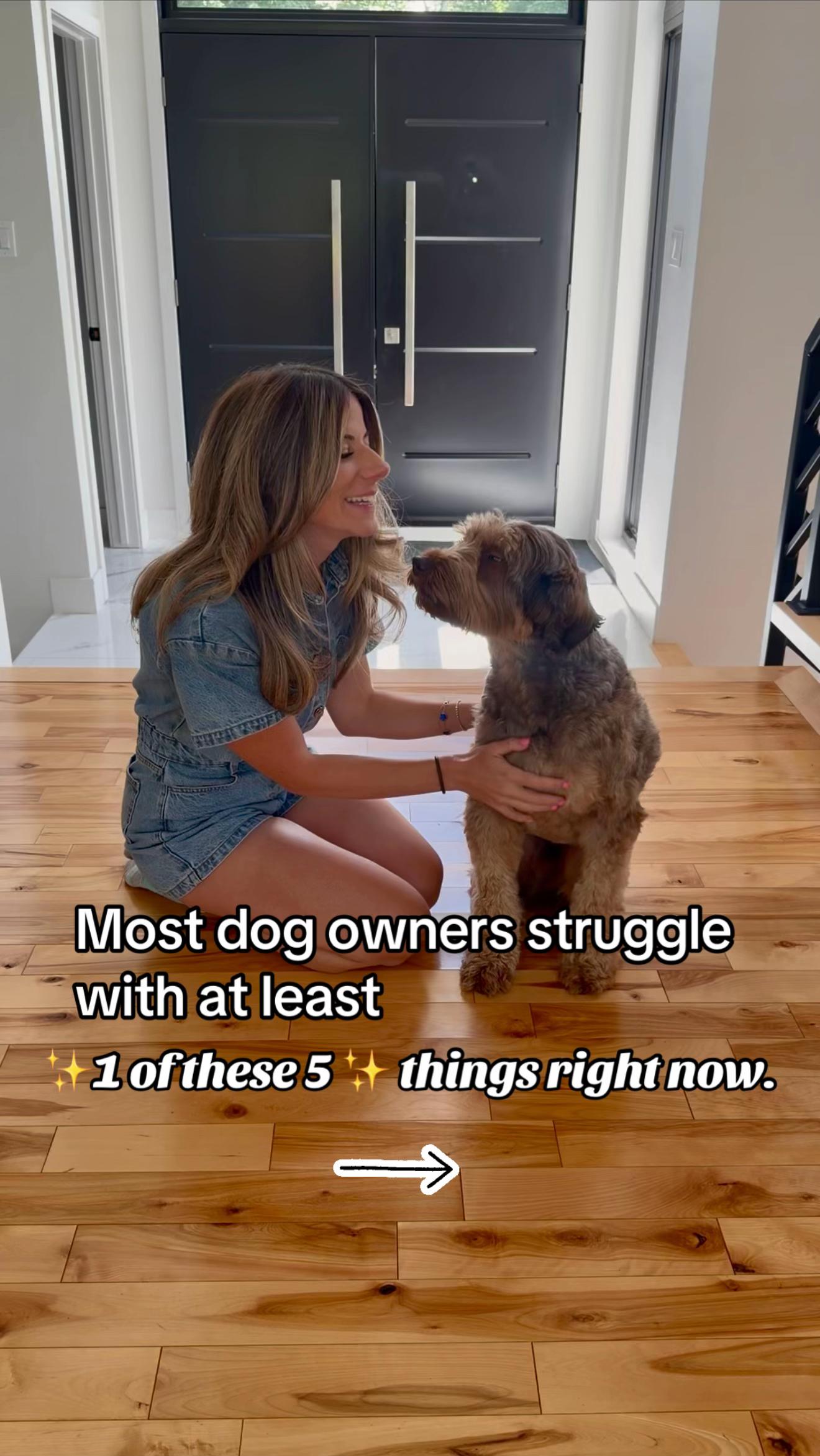 @Dogs Made Simple