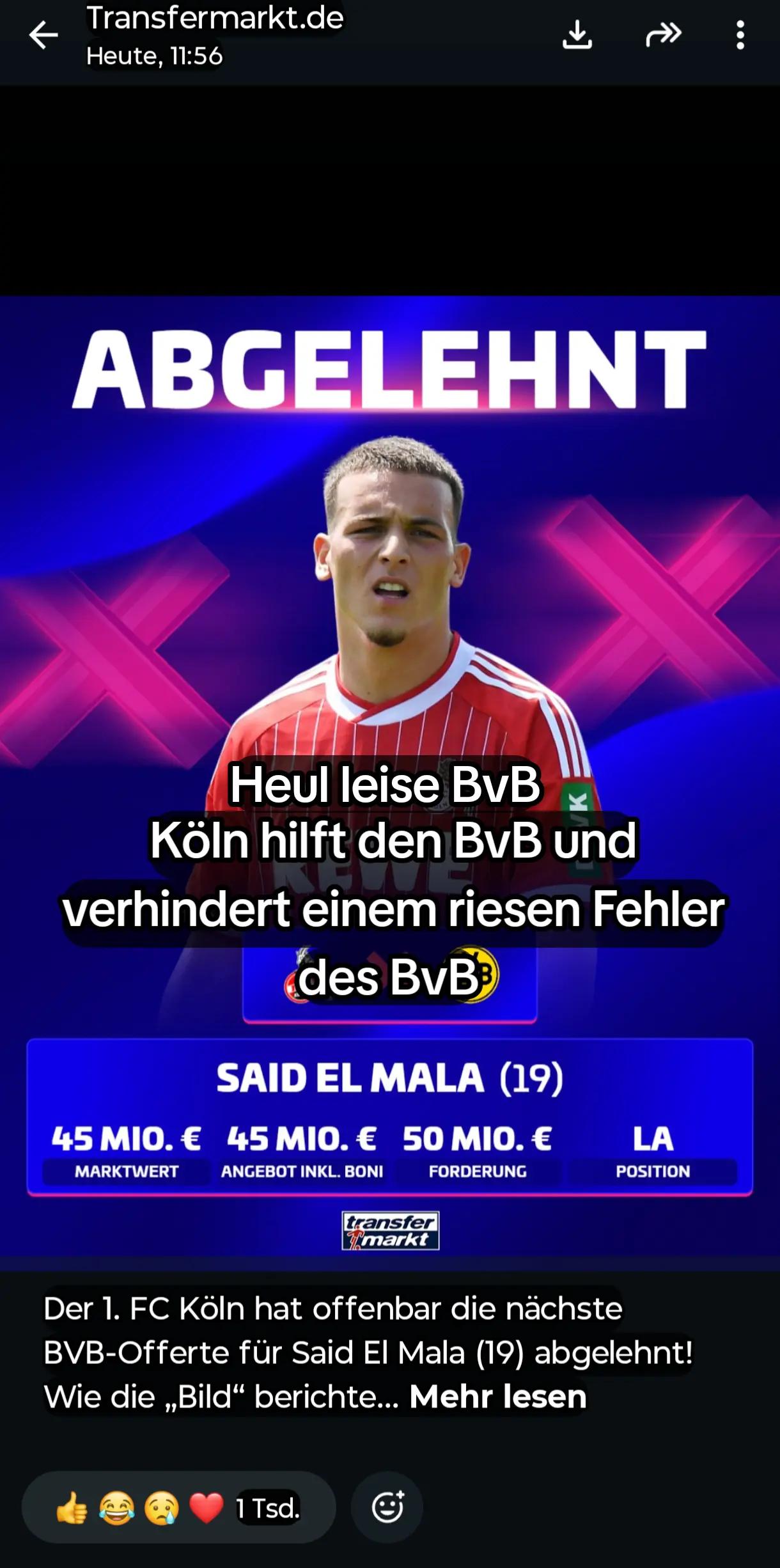 @Fussball Frogger